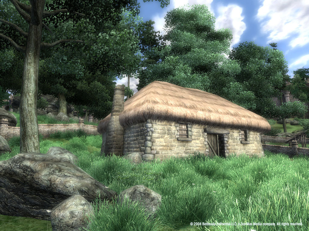 The Elder Scrolls IV: Oblivion® Game of the Year Edition (2009) screenshot 24