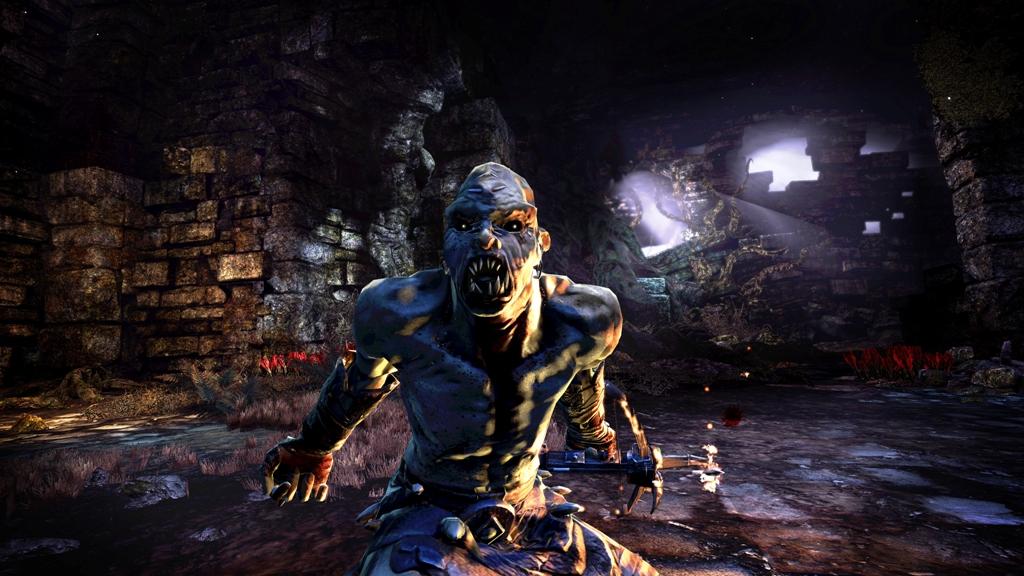 Hunted: The Demon’s Forge™ screenshot 2