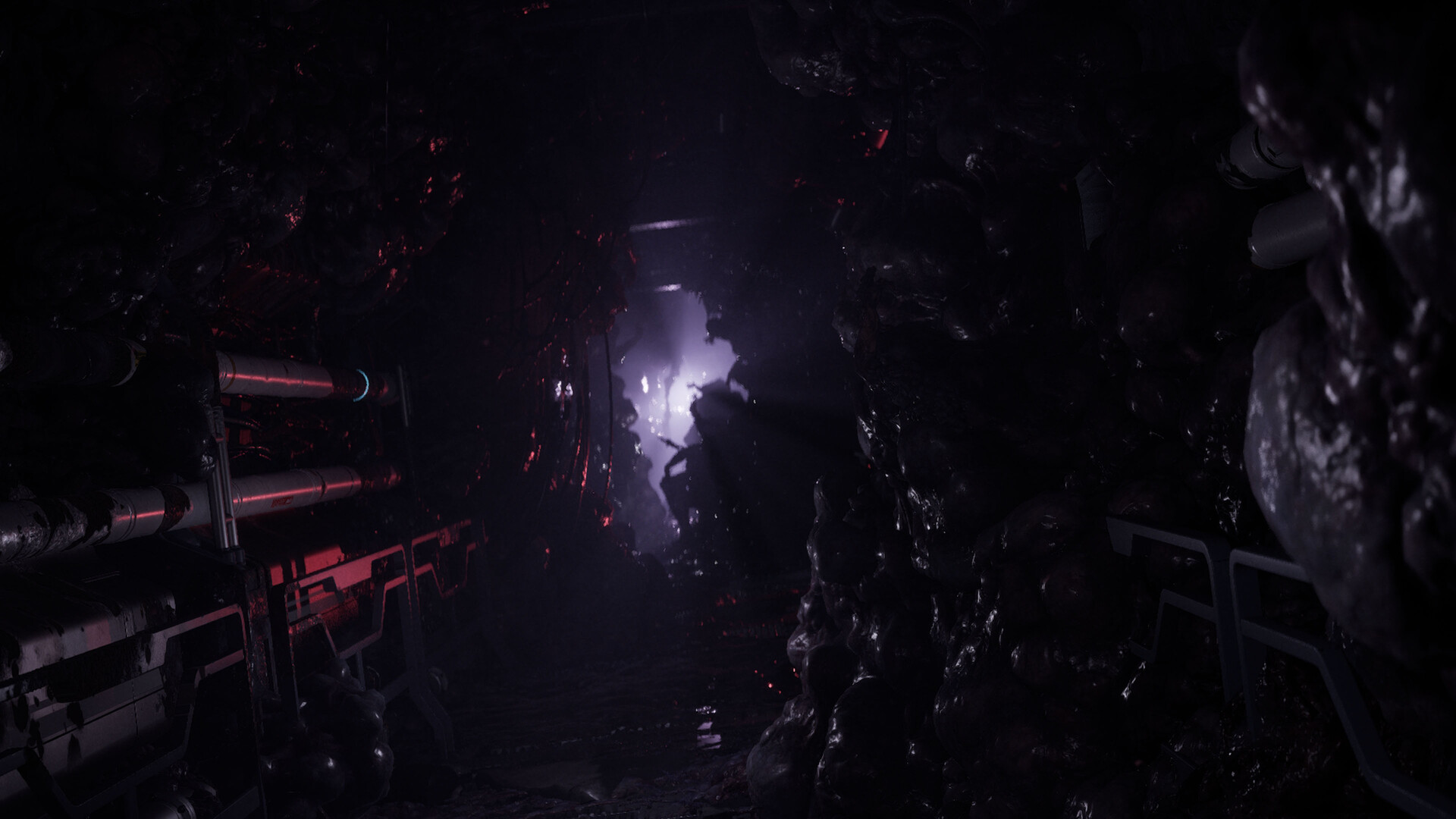 Directive 8020 screenshot 9