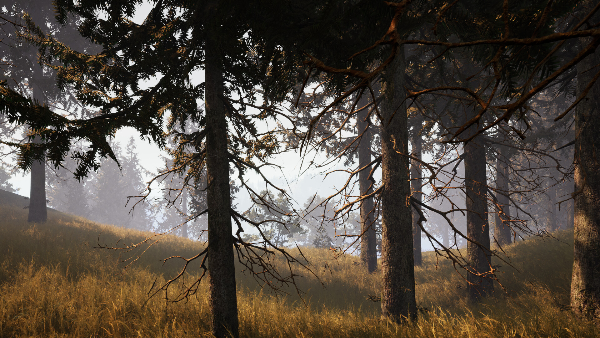 Wildwood: Hearth & Horizon screenshot 9