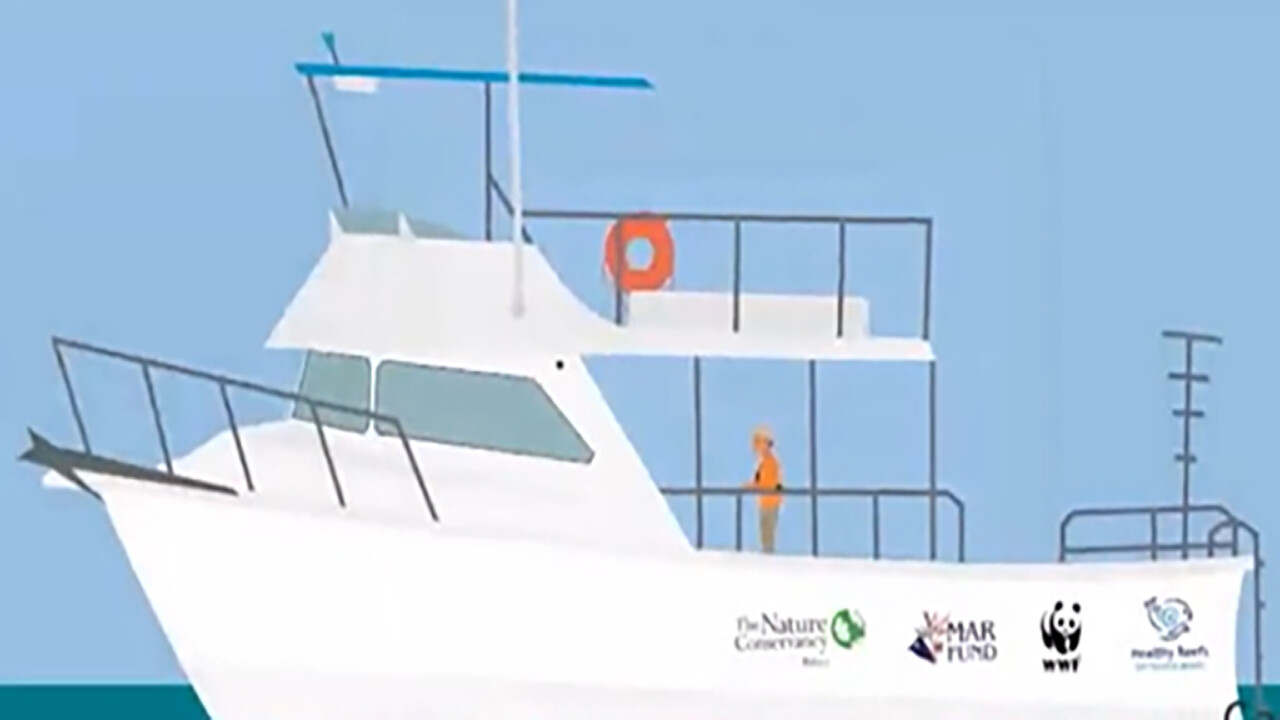 Find the Whales: Español screenshot 5