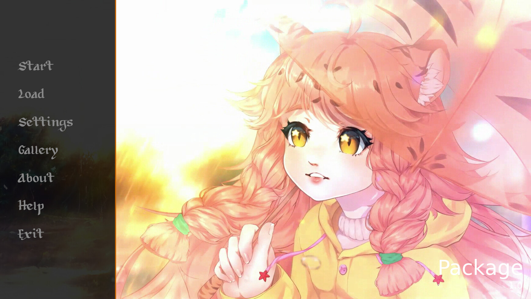 Package screenshot 1