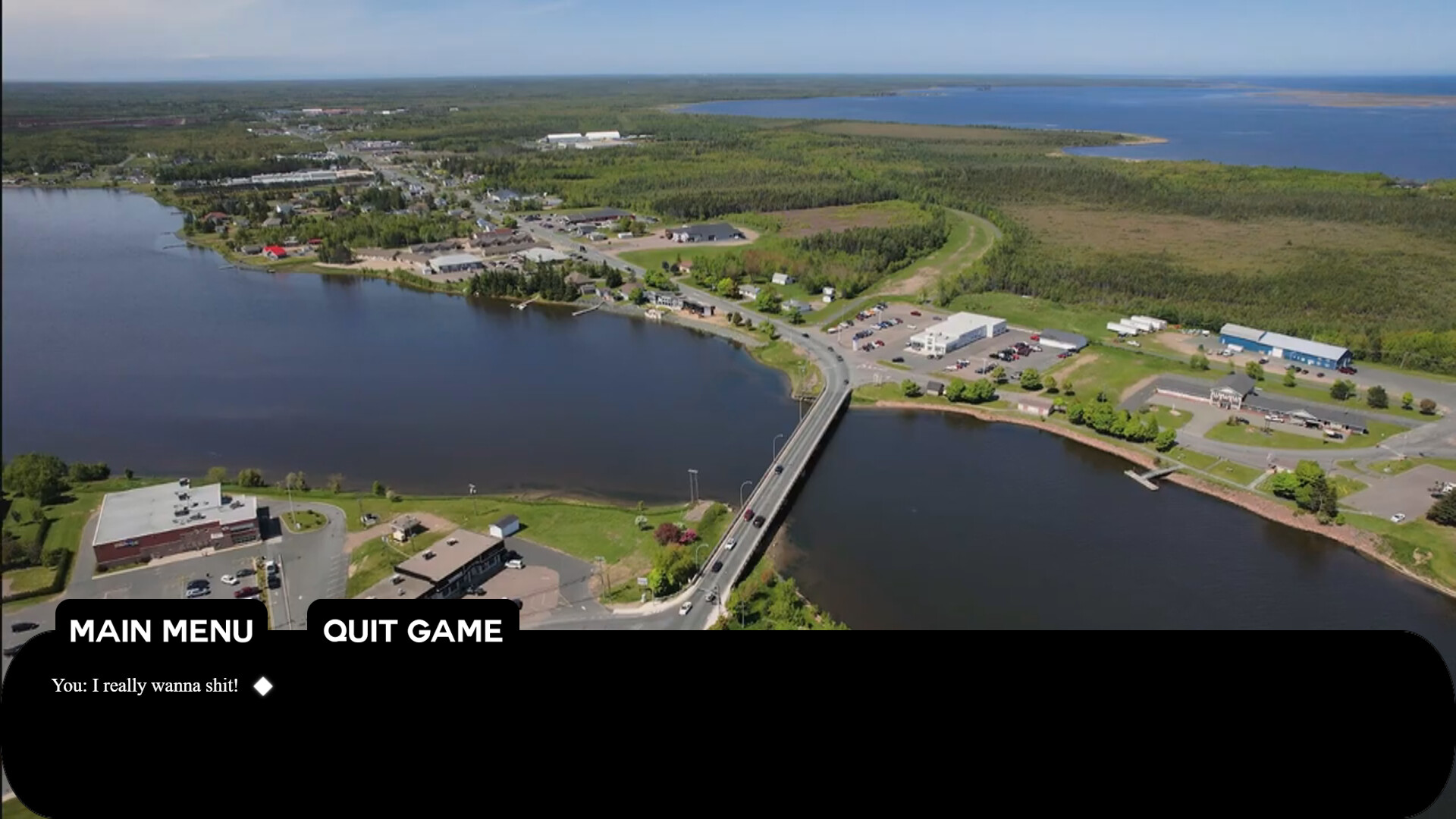 Tracadie Bird Shit screenshot 2