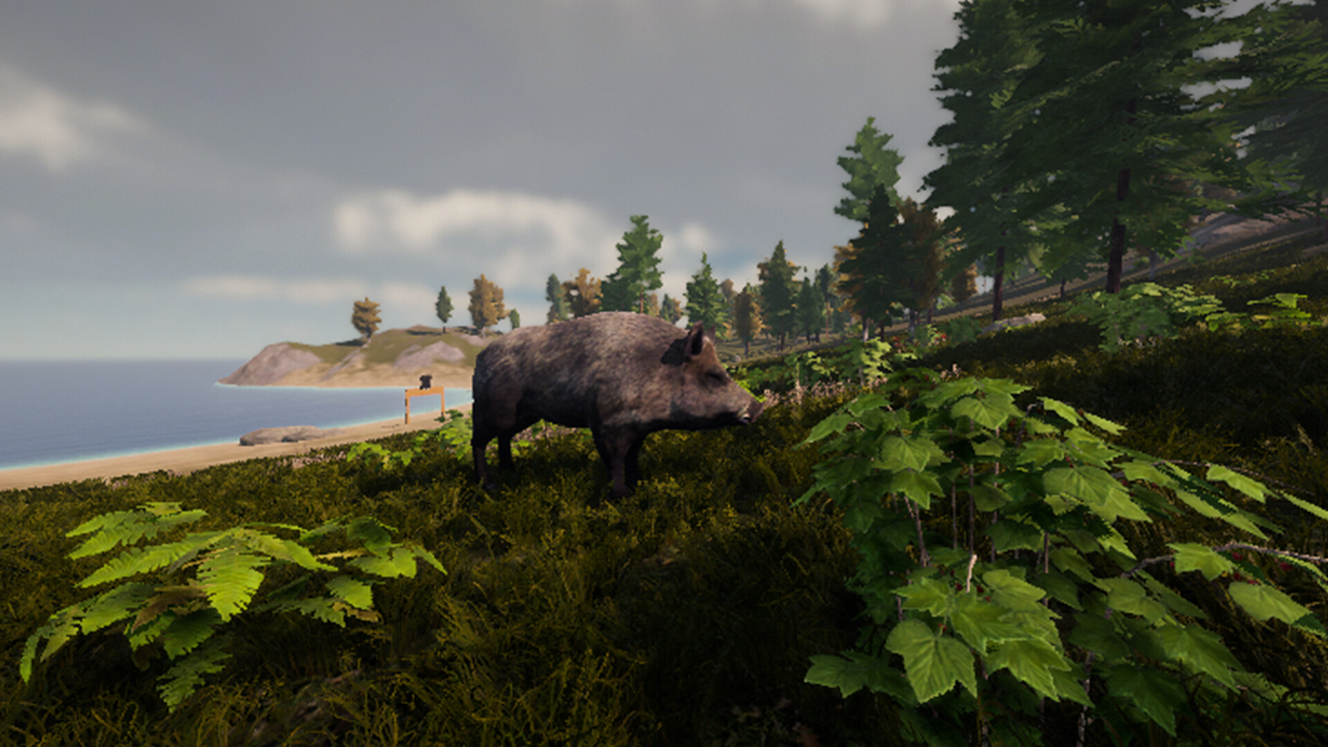 Wild Hunting screenshot 4