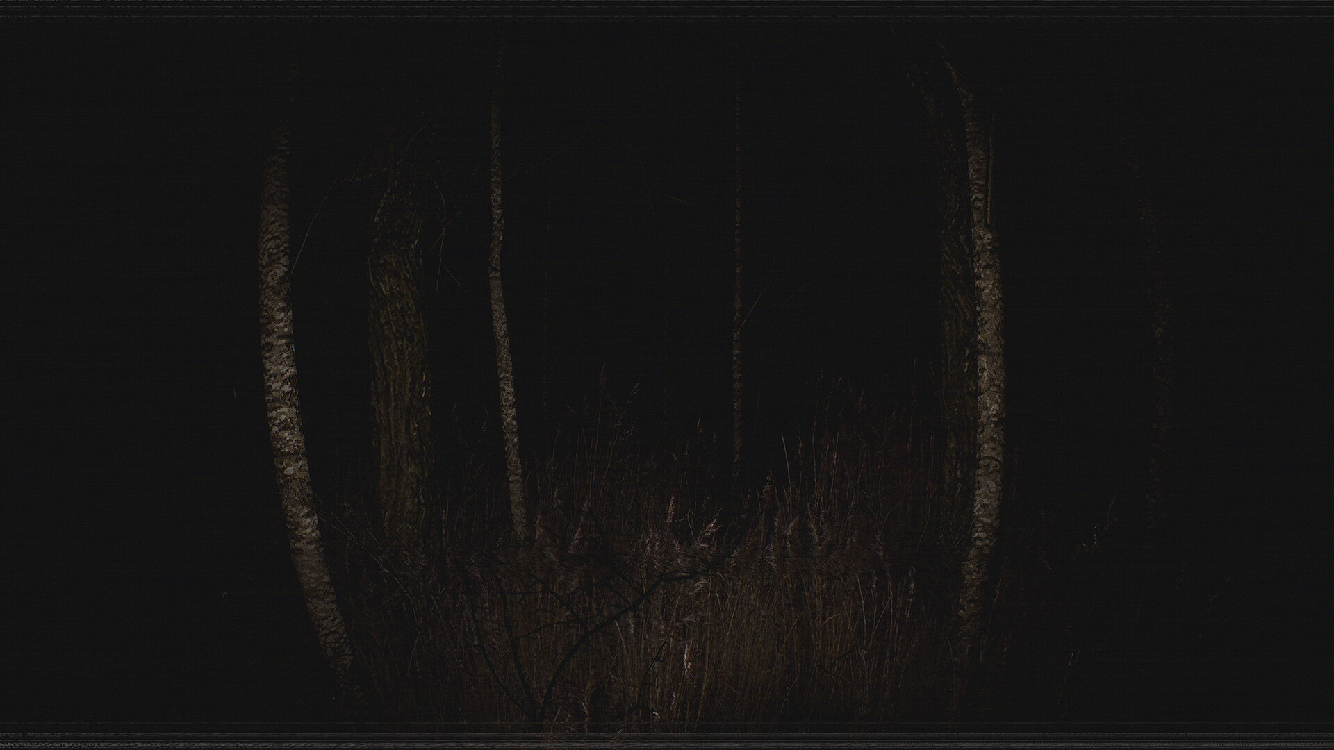 Paranormal VHS screenshot 1