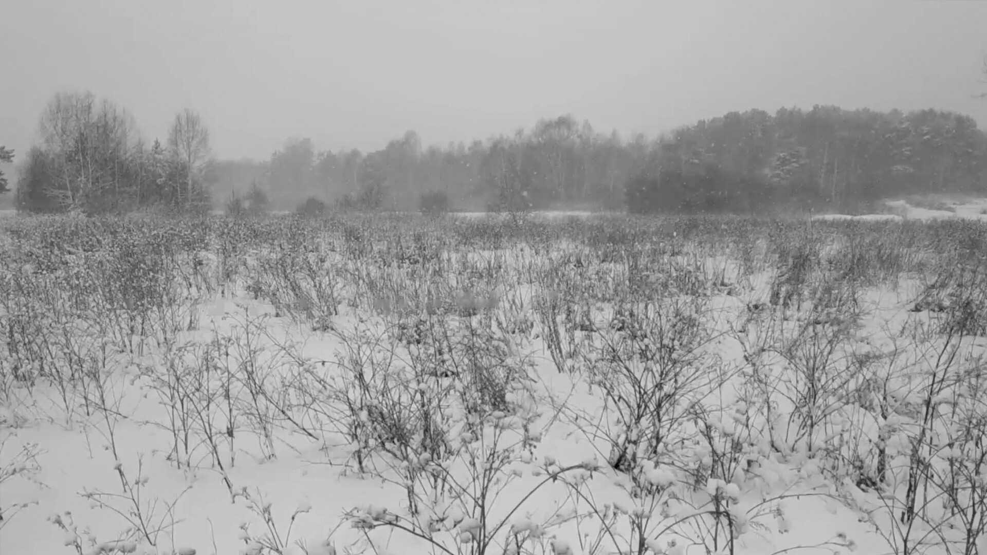 Russian Psychiatric Pastoral: Prologue screenshot 8