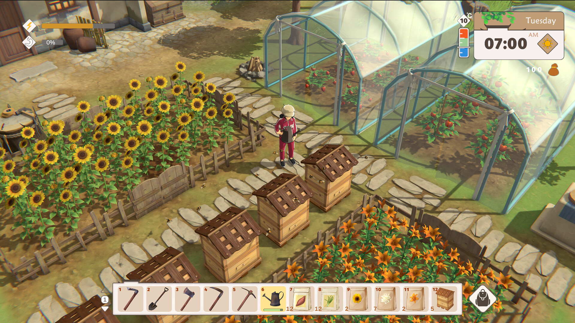 Litchi Town screenshot 1