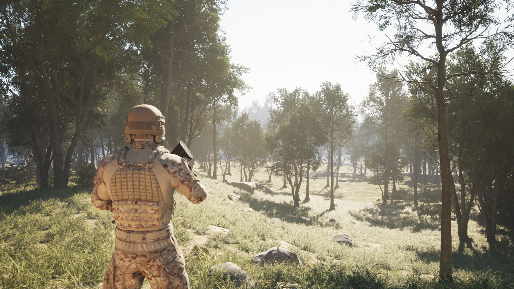 Training and War Simulation (TWS) screenshot 1