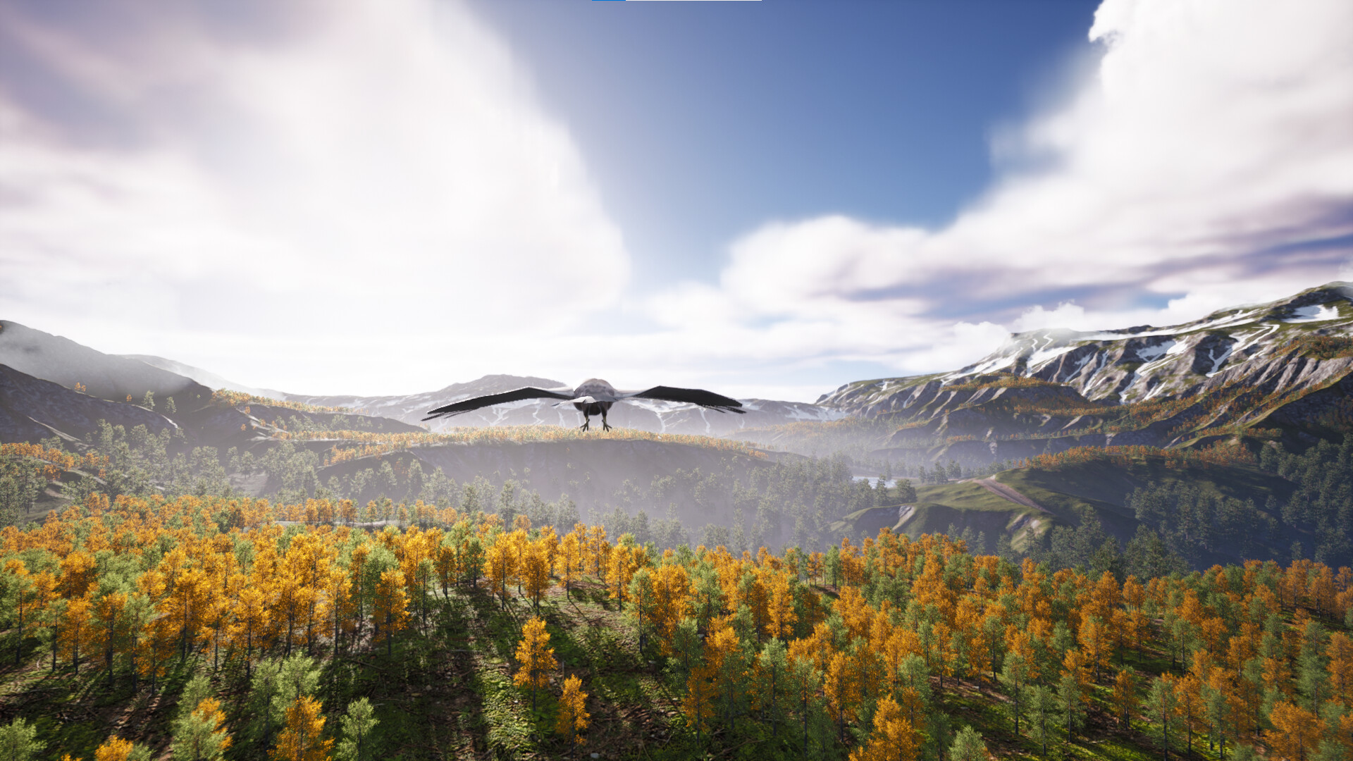 Bird's Eye Odyssey screenshot 10
