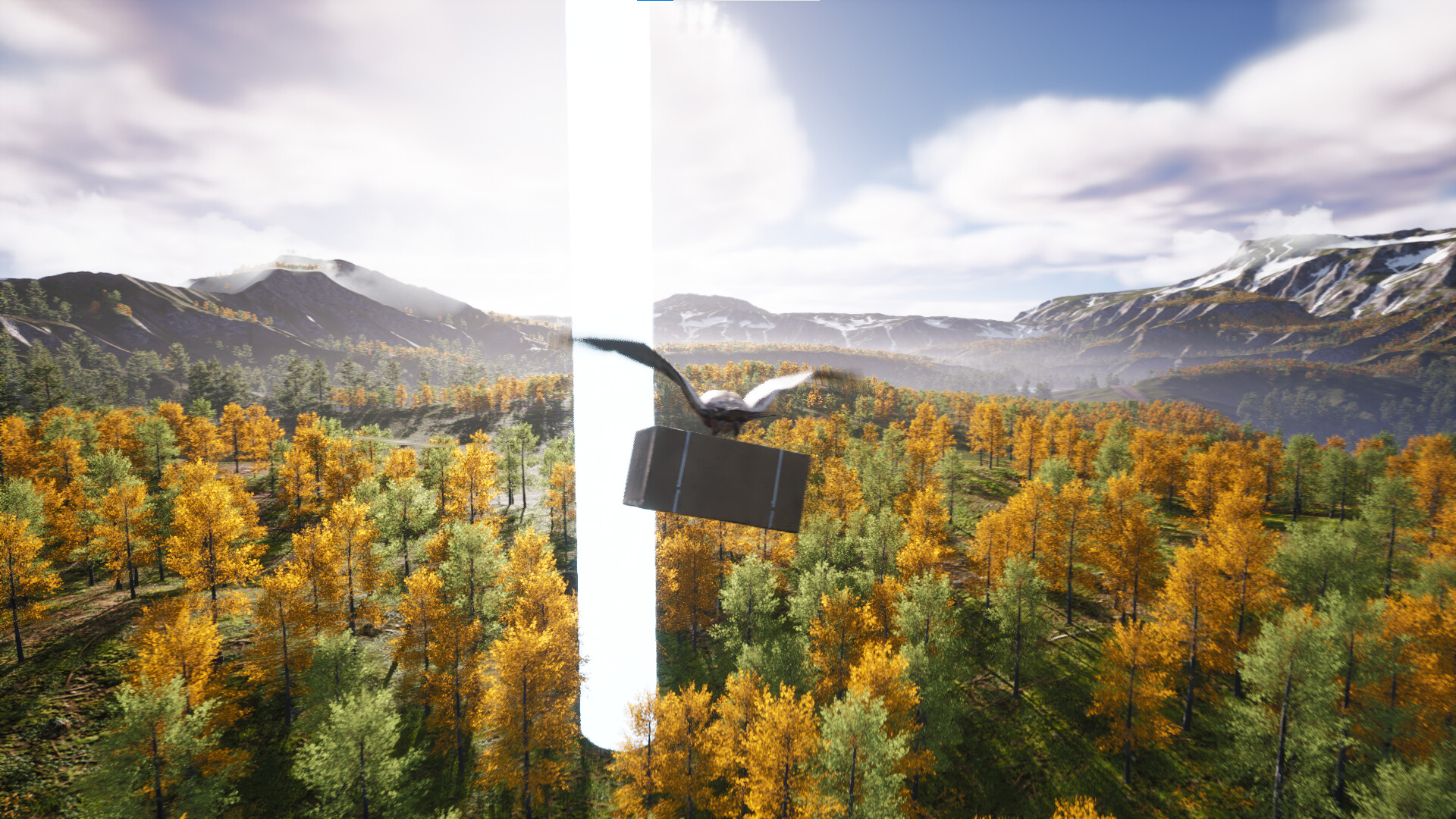 Bird's Eye Odyssey screenshot 4