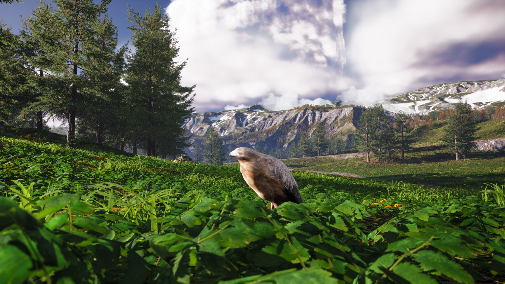 Bird's Eye Odyssey screenshot 1