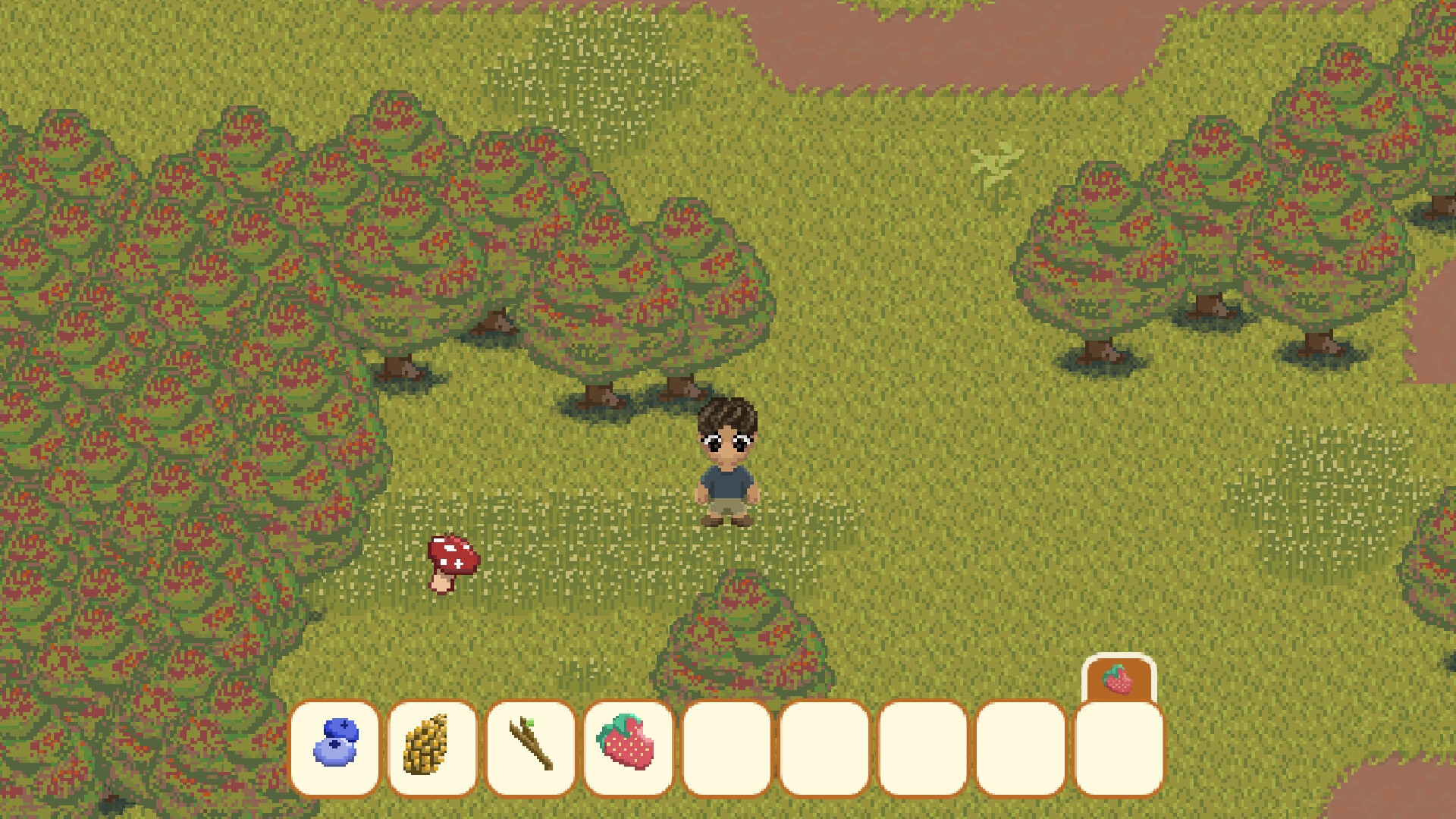 Enid screenshot 2