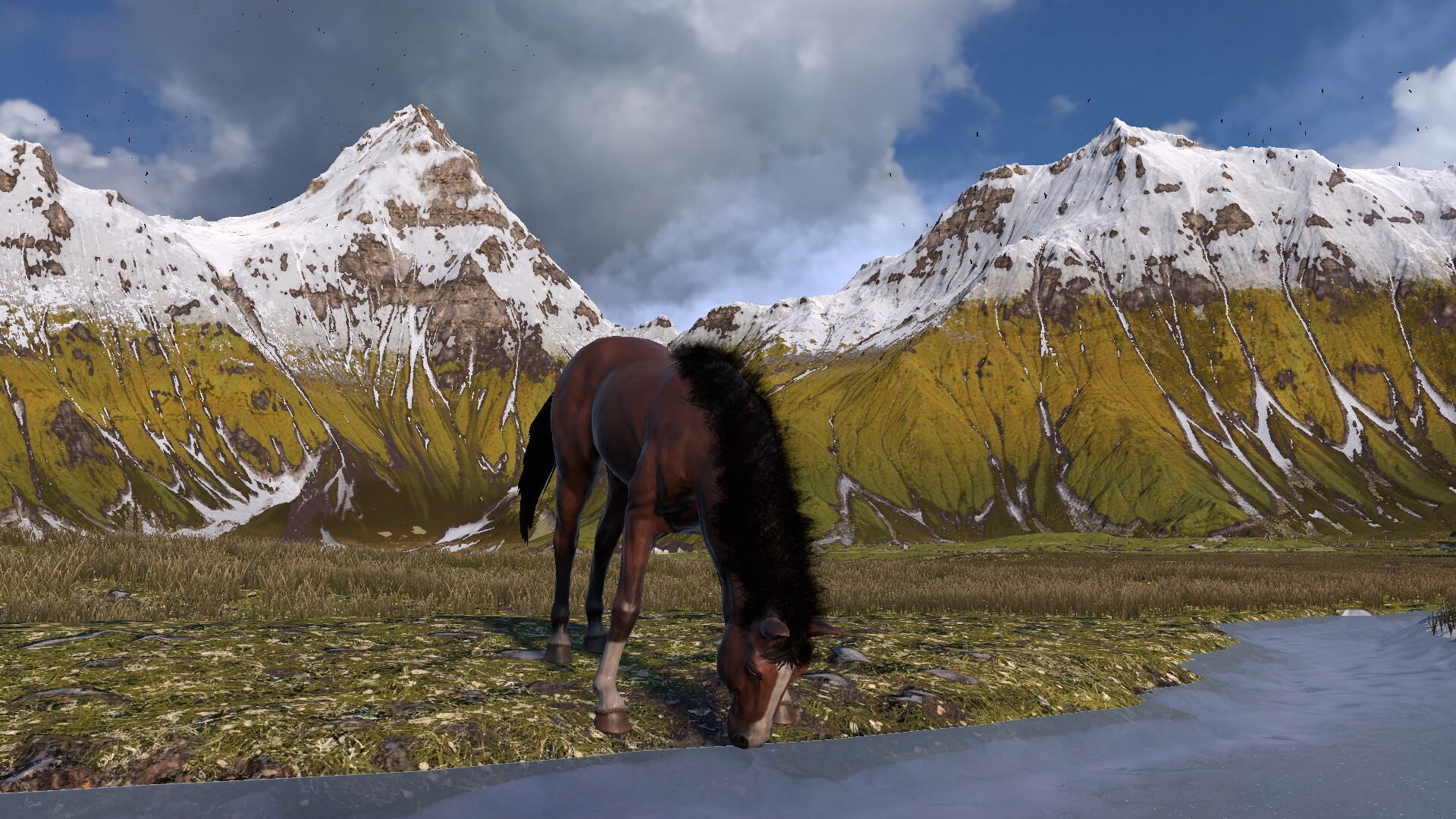 HORSE LIFE: find horses in open world, survive in wild nature as a foal or pony screenshot 3