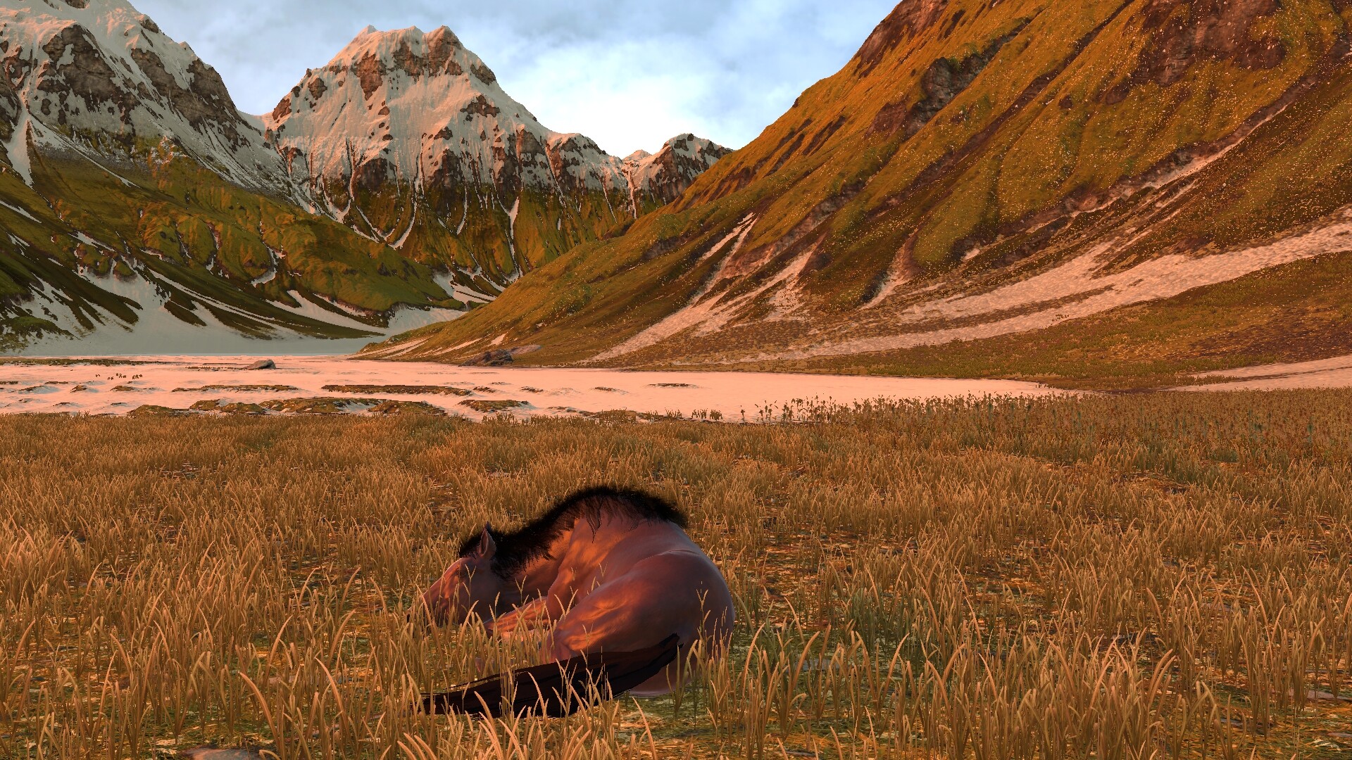 HORSE LIFE: find horses in open world, survive in wild nature as a foal or pony screenshot 8