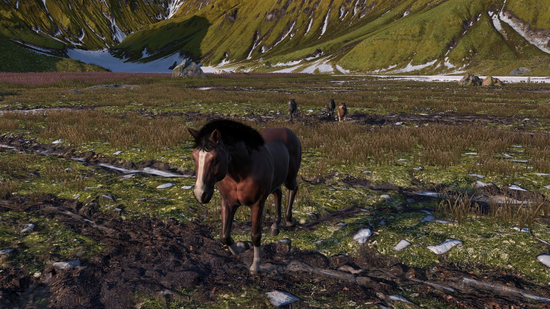 HORSE LIFE: find horses in open world, survive in wild nature as a foal or pony screenshot 7