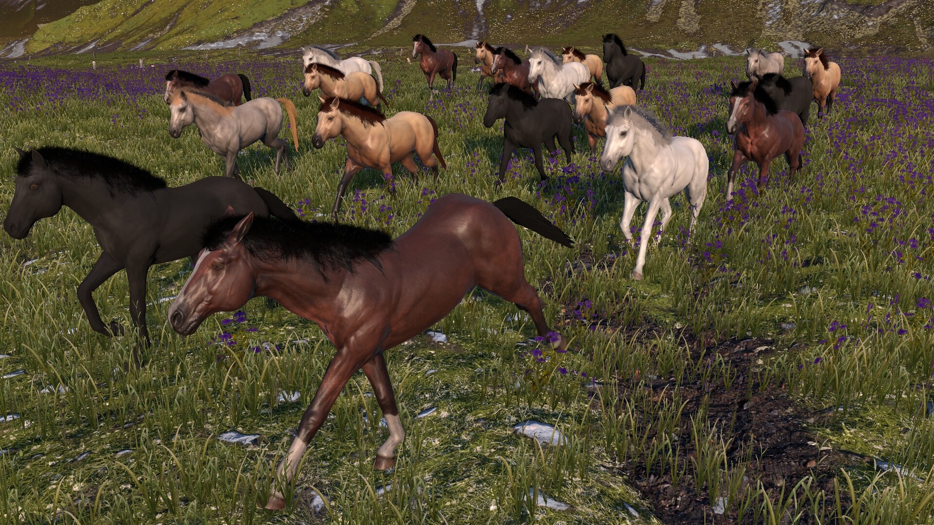 HORSE LIFE: find horses in open world, survive in wild nature as a foal or pony screenshot 2