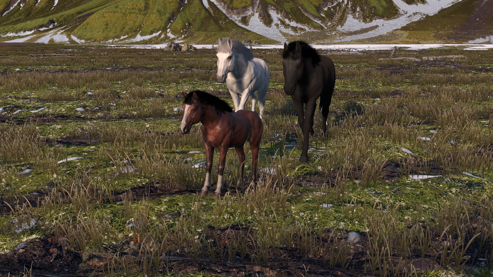 HORSE LIFE: find horses in open world, survive in wild nature as a foal or pony screenshot 4