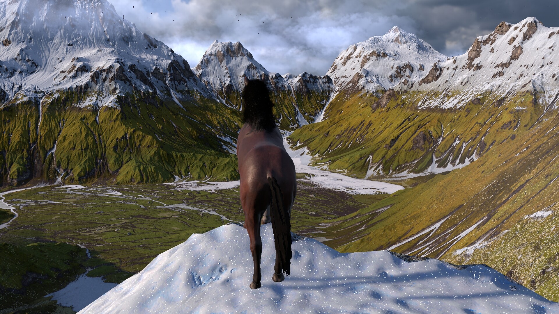 HORSE LIFE: find horses in open world, survive in wild nature as a foal or pony screenshot 1