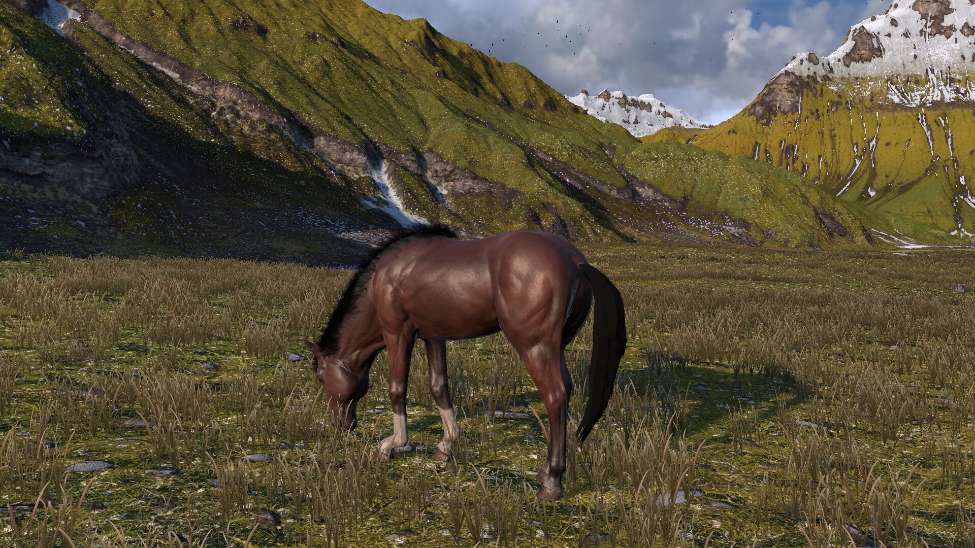 HORSE LIFE: find horses in open world, survive in wild nature as a foal or pony screenshot 9
