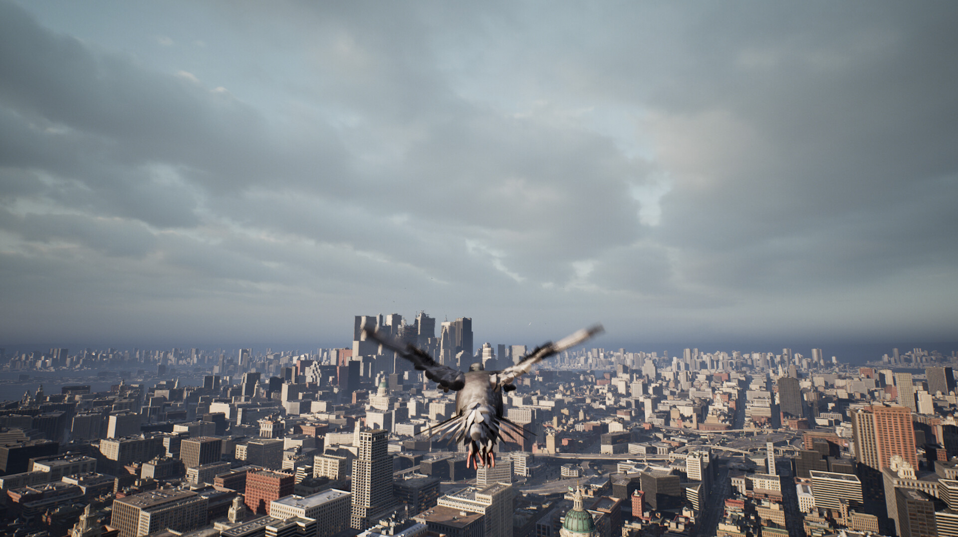Pigeon Flight Simulator screenshot 4