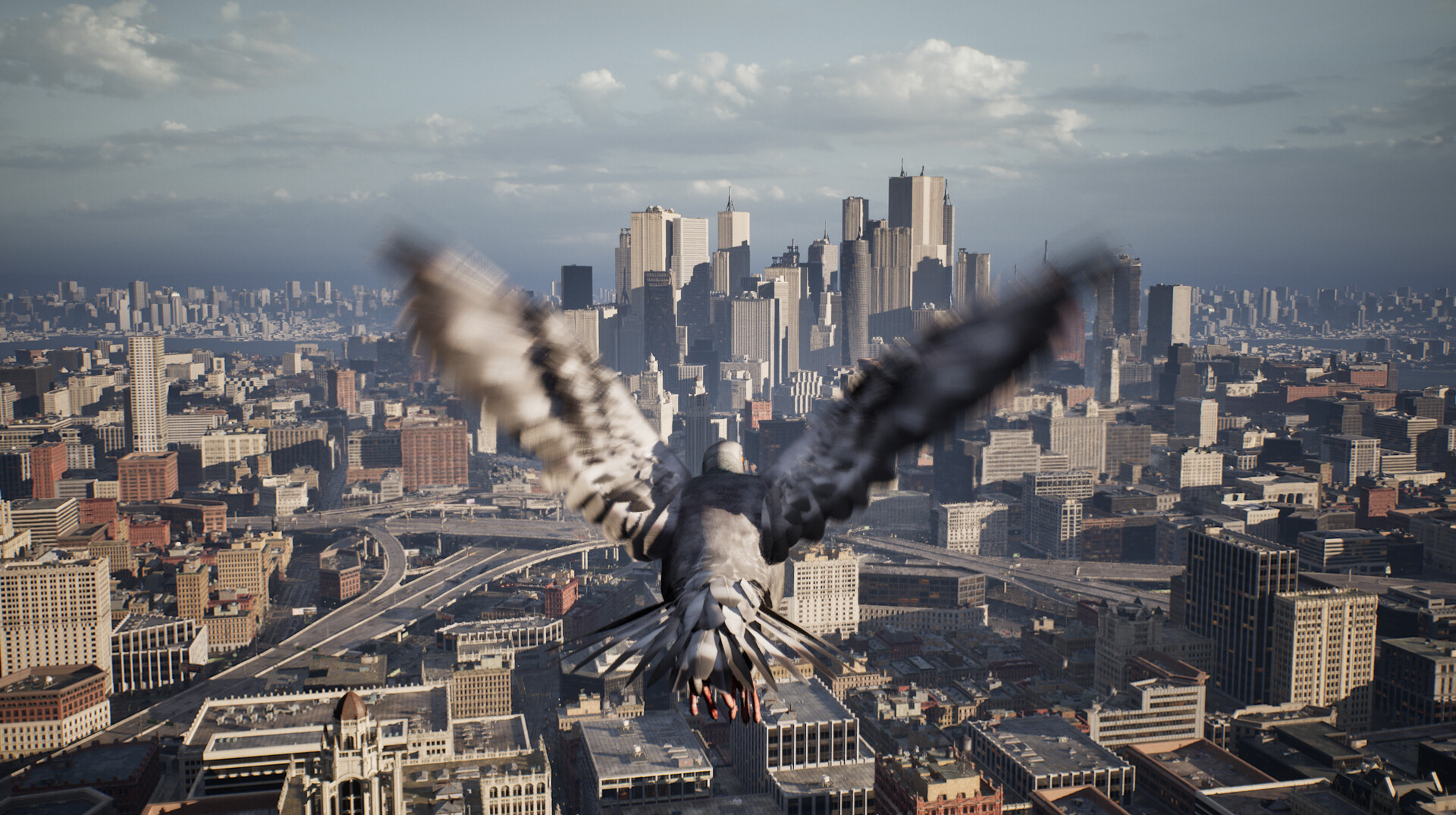 Pigeon Flight Simulator screenshot 5