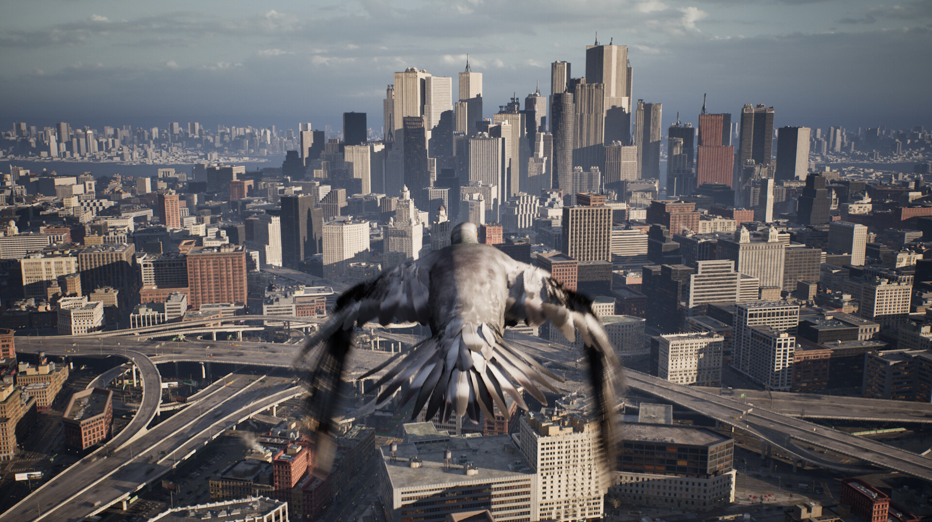Pigeon Flight Simulator screenshot 8