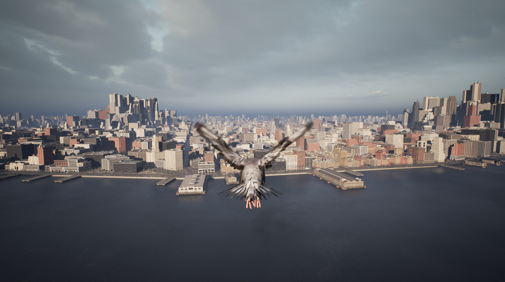 Pigeon Flight Simulator screenshot 1