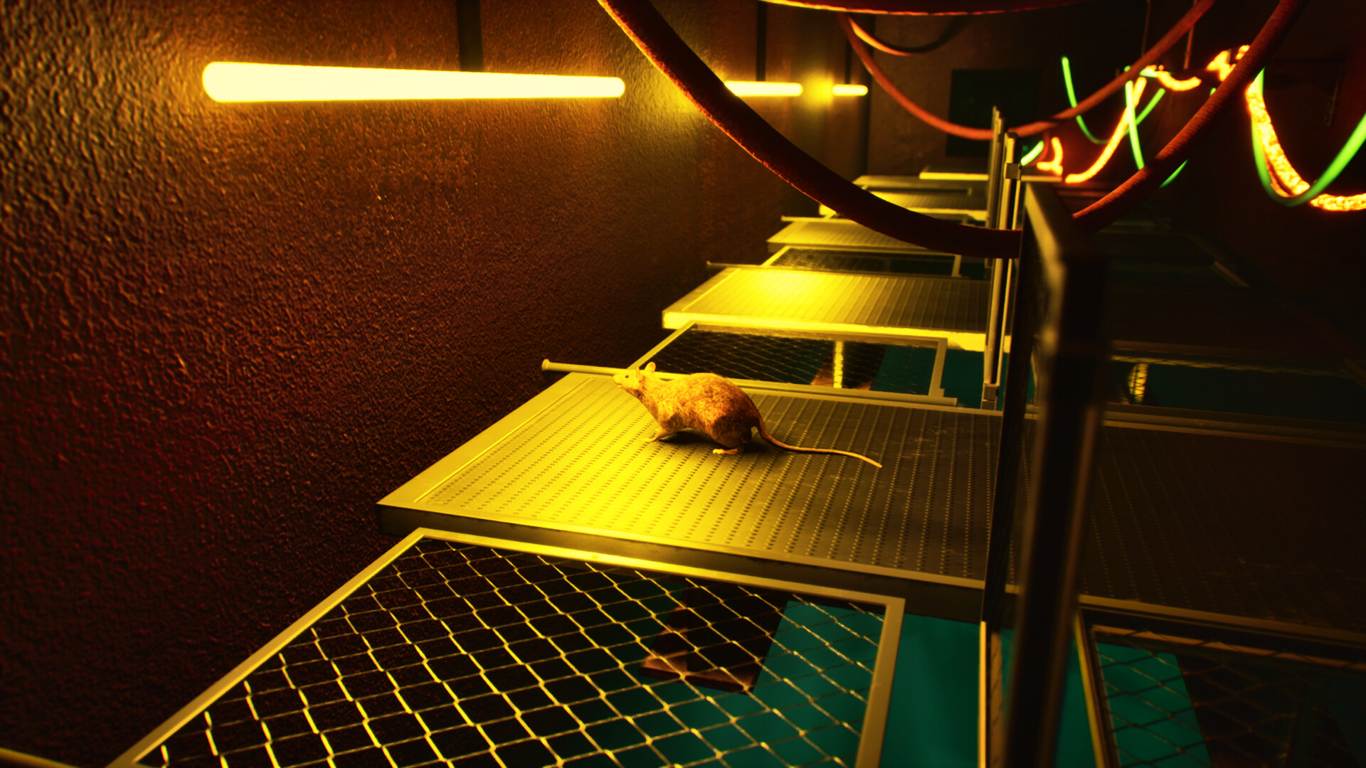 Deep Loop screenshot 9