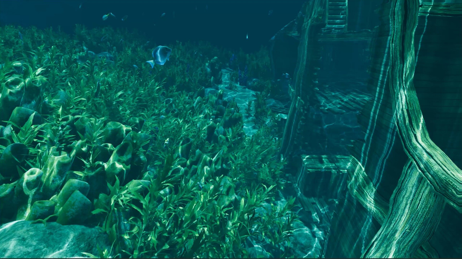 Island Notes screenshot 7
