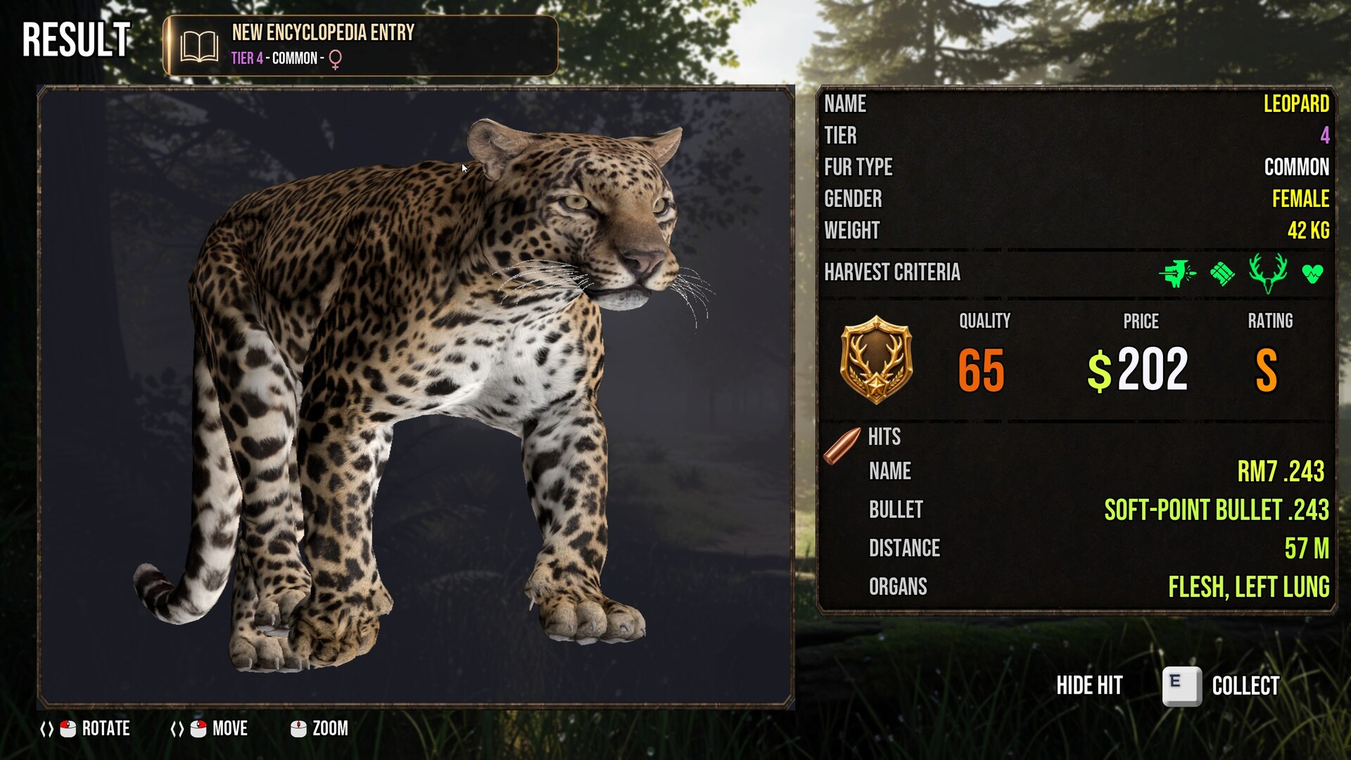 Project Hunt screenshot 9