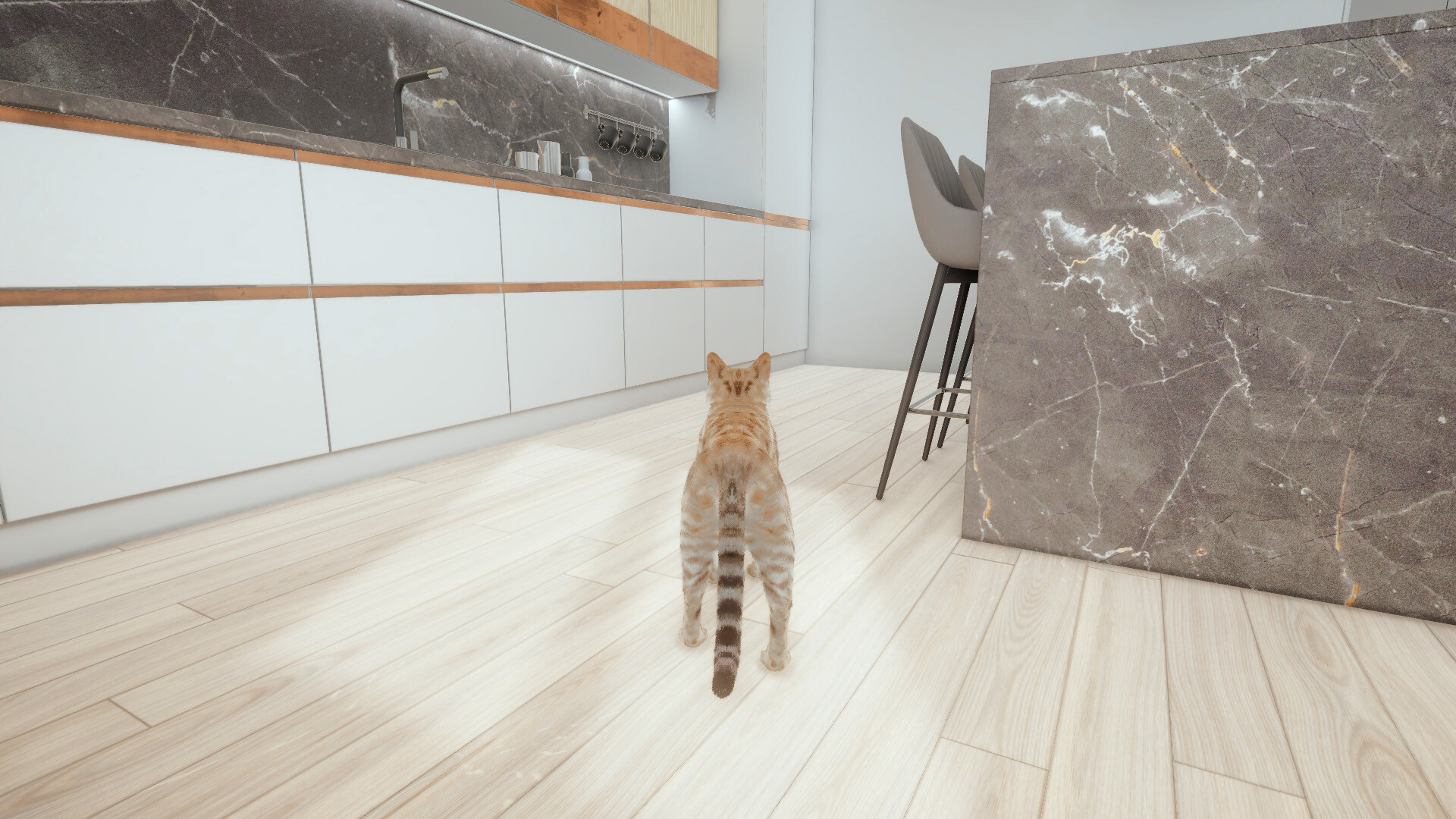 CATS GAME: stray cat, pet kitty, dog simulation adventure screenshot 8