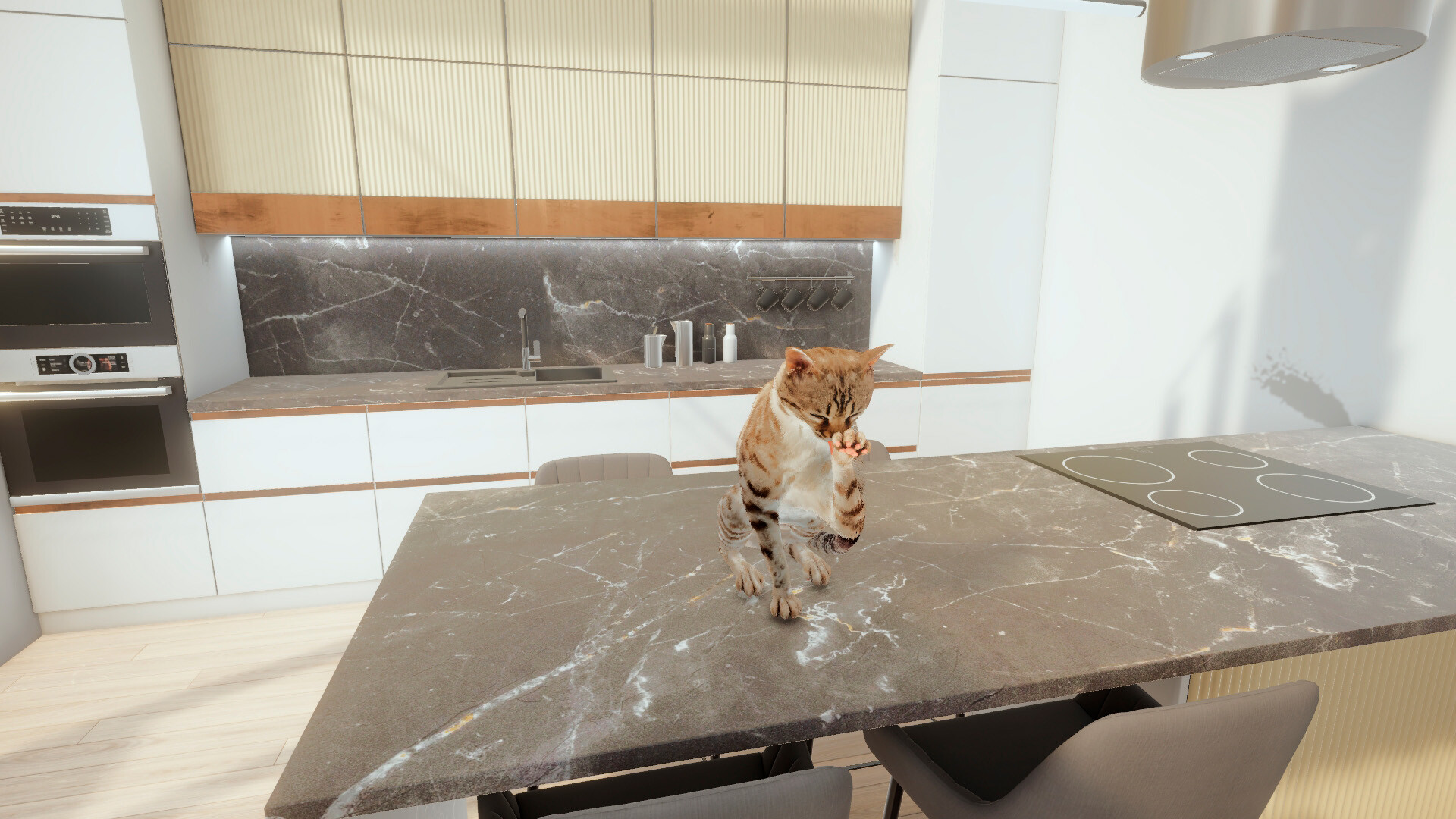 CATS GAME: stray cat, pet kitty, dog simulation adventure screenshot 6