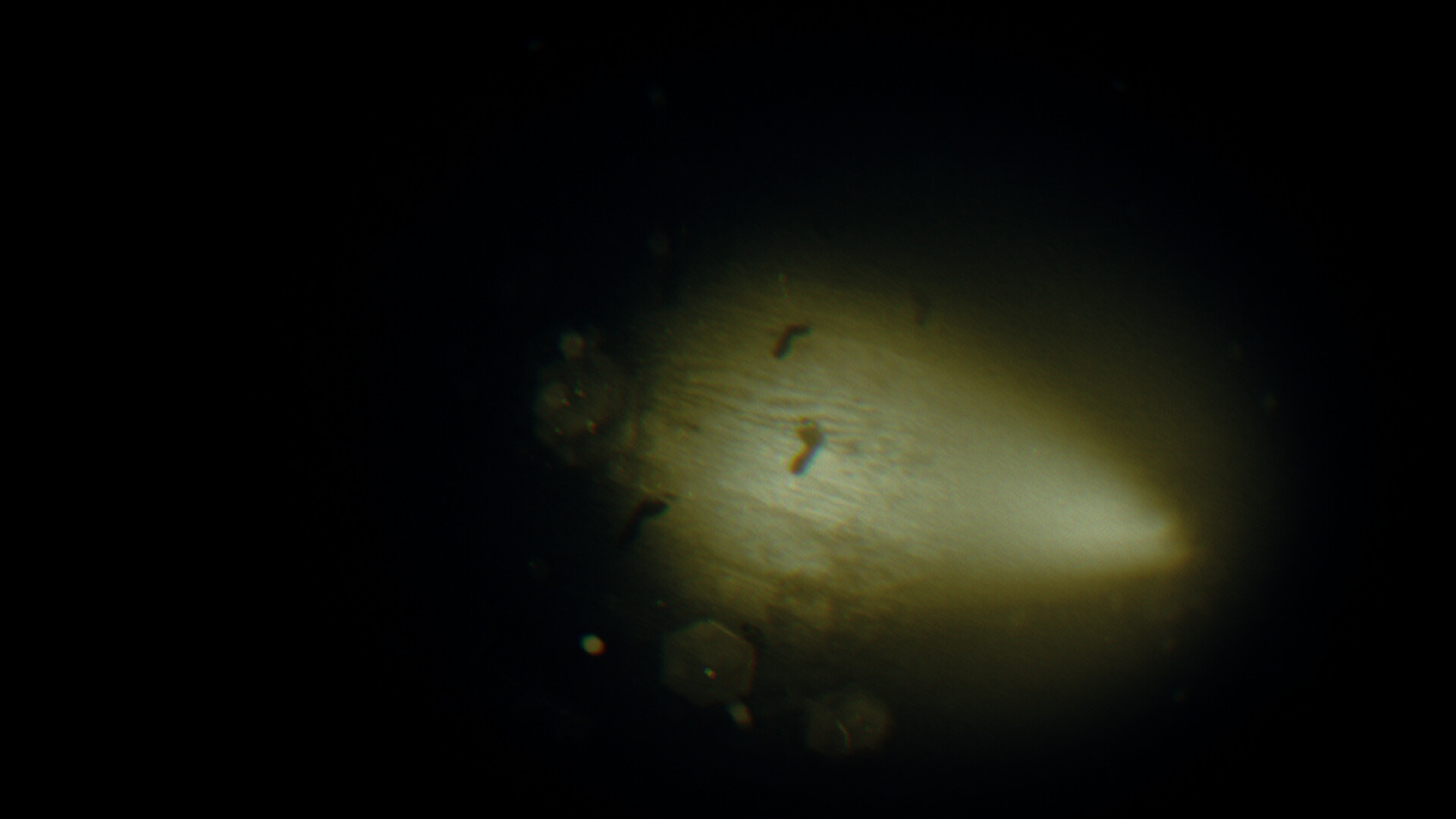 REC: Beyond The Lens screenshot 10