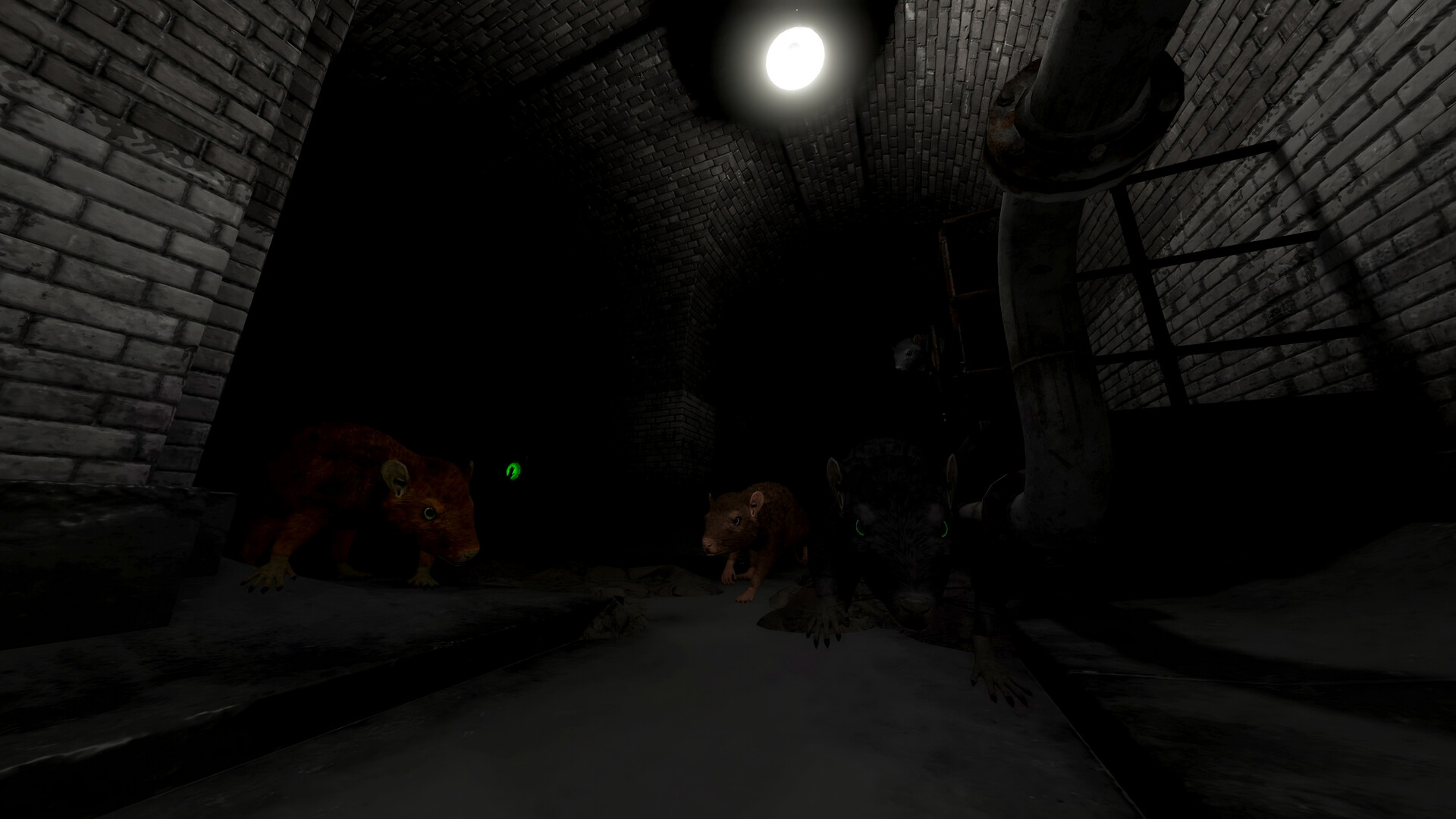 Scamper screenshot 3