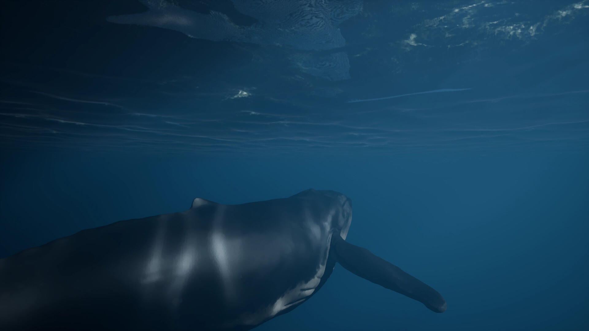 Whale Fall screenshot 5