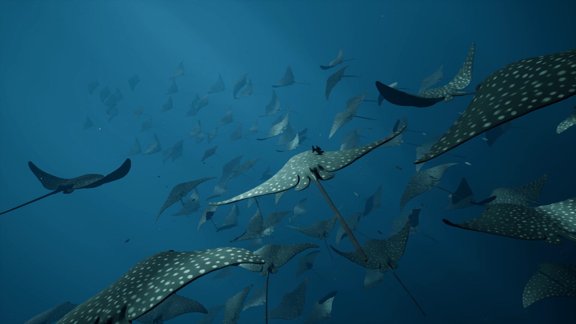 Whale Fall screenshot 3
