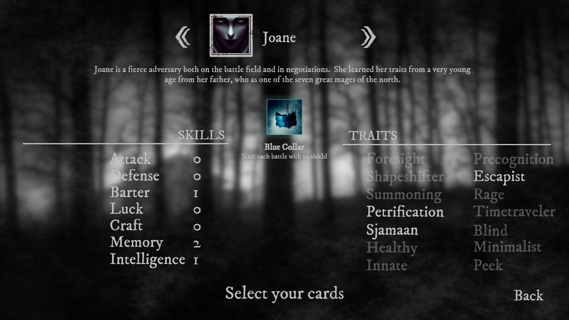 Runes of Aereal screenshot 6