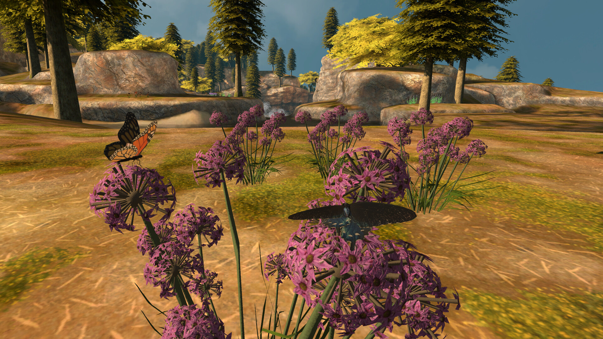 Lepidoptera screenshot 17