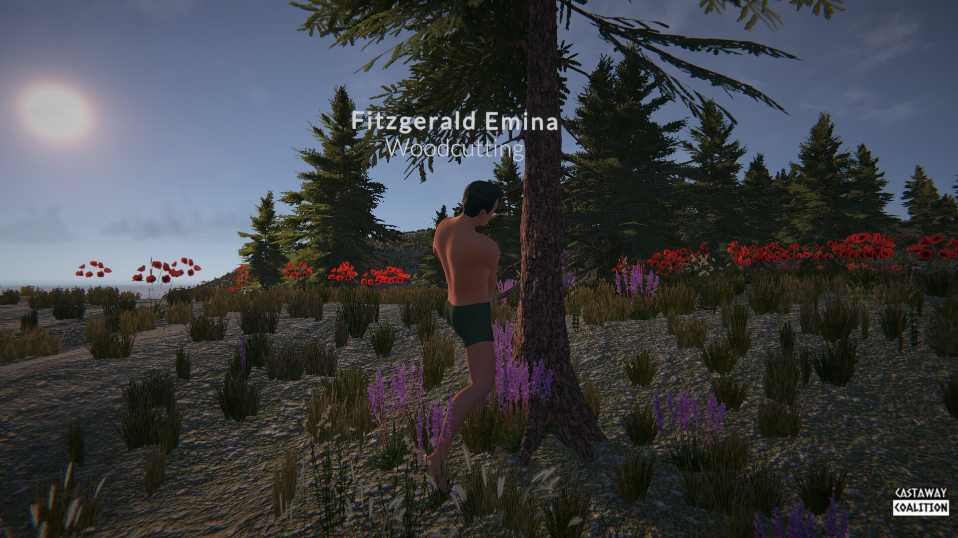 Castaway Coalition screenshot 2