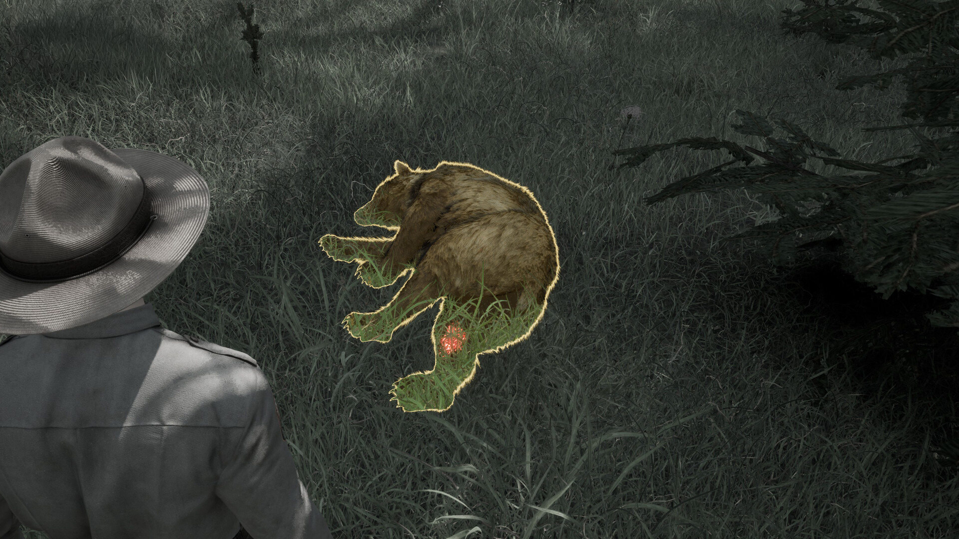 Ranger’s Path: National Park Simulator screenshot 13