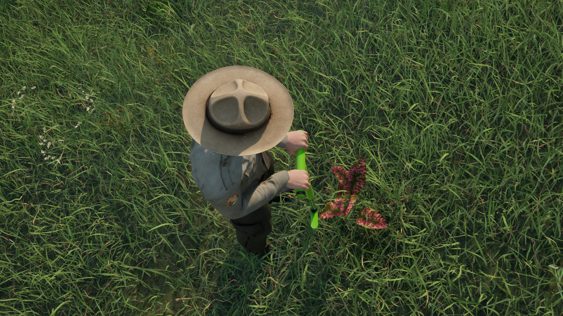 Ranger’s Path: National Park Simulator screenshot 18
