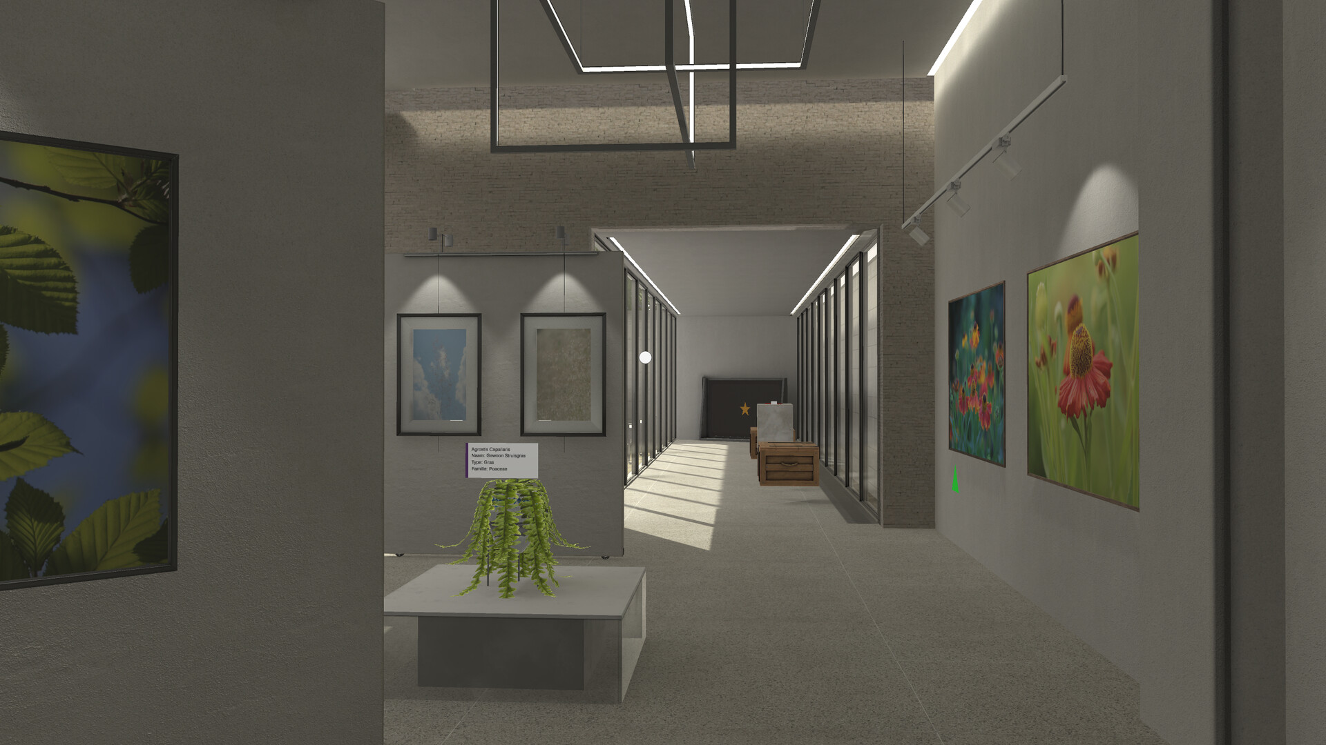 Plant Gallery: A Short Botanic Experience screenshot 6