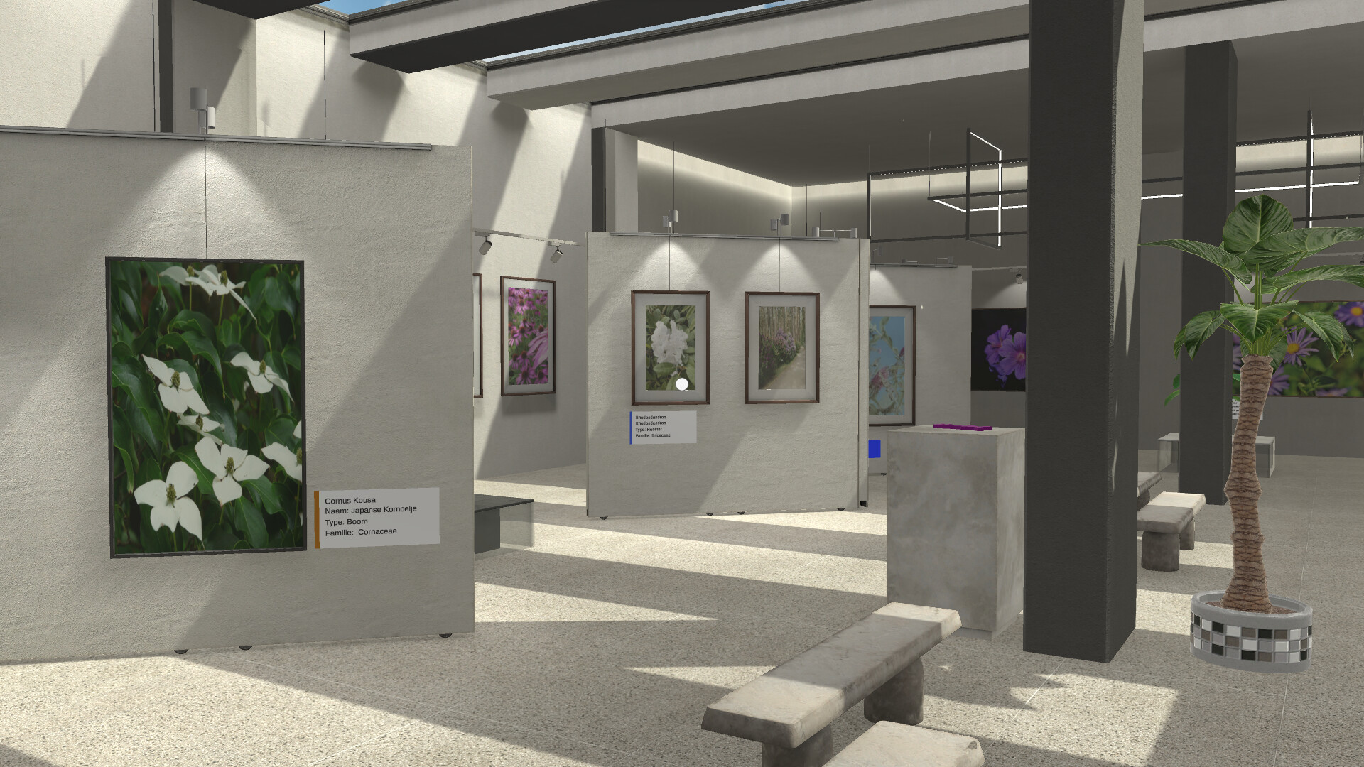 Plant Gallery: A Short Botanic Experience screenshot 15