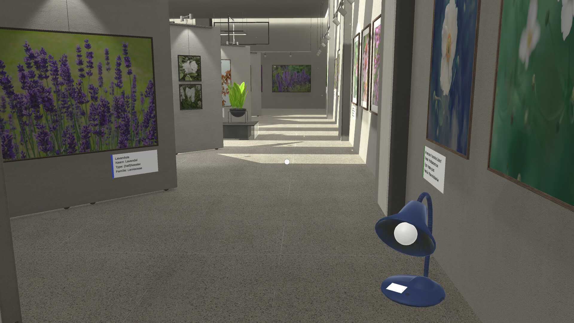 Plant Gallery: A Short Botanic Experience screenshot 9