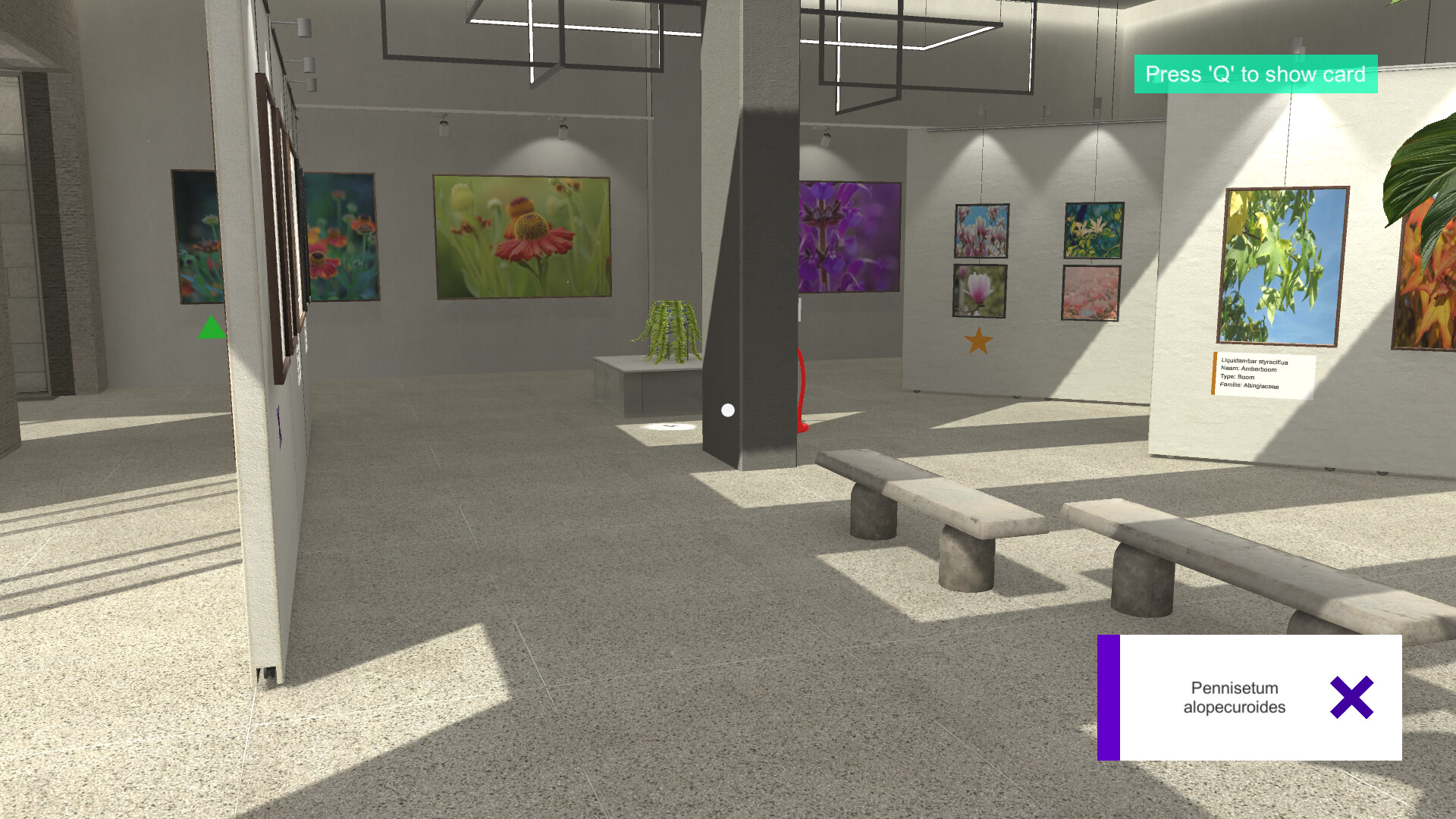 Plant Gallery: A Short Botanic Experience screenshot 16
