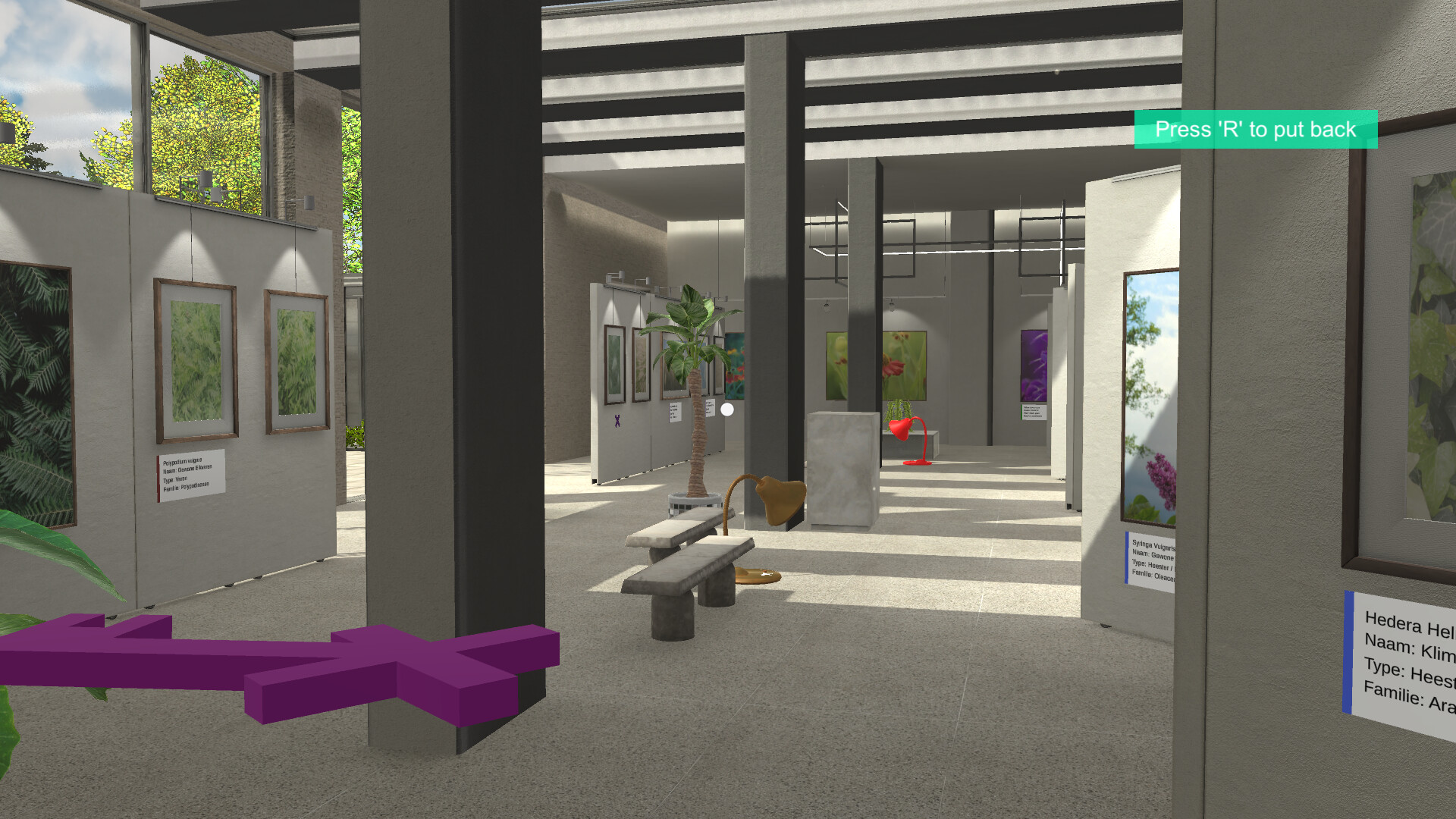 Plant Gallery: A Short Botanic Experience screenshot 2