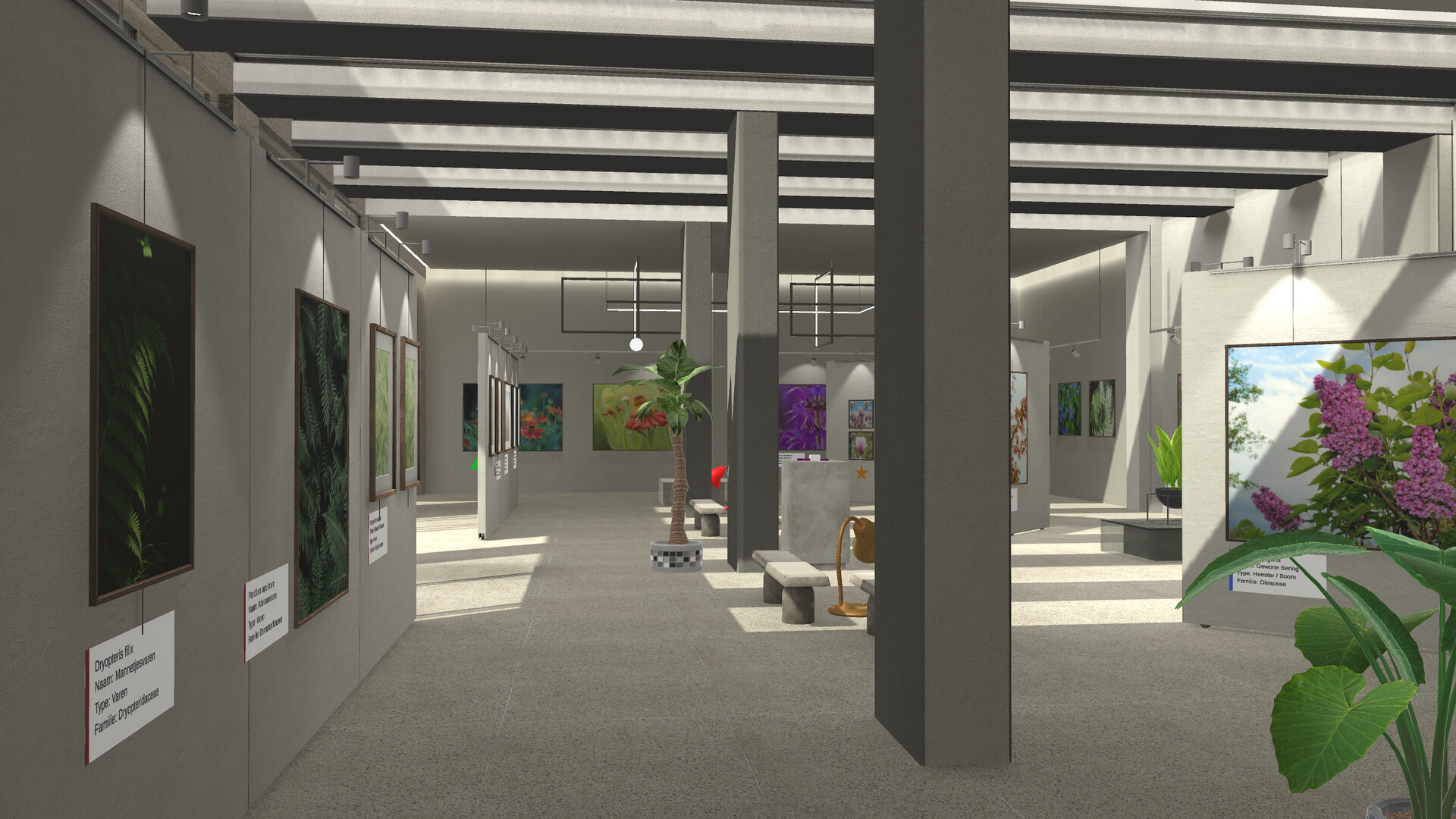 Plant Gallery: A Short Botanic Experience screenshot 7
