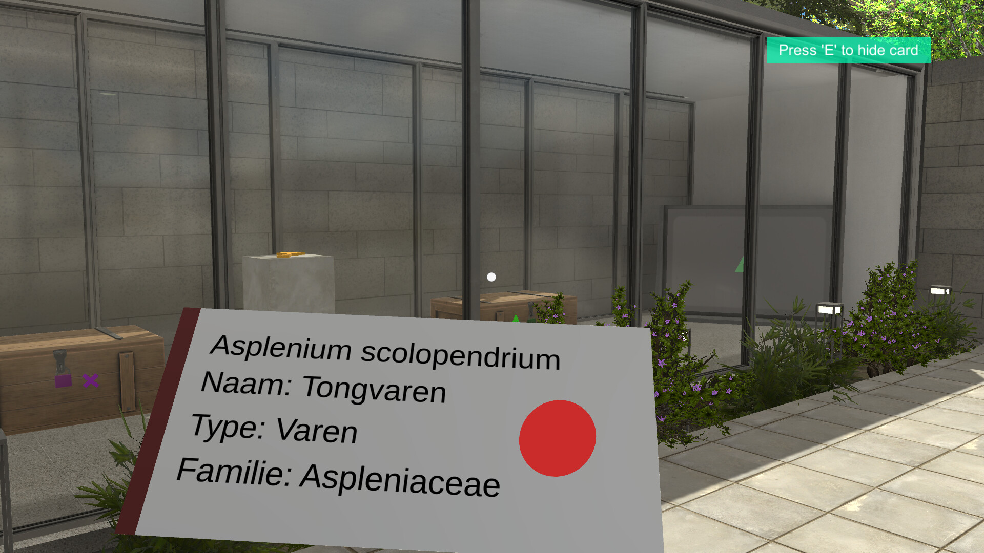 Plant Gallery: A Short Botanic Experience screenshot 14