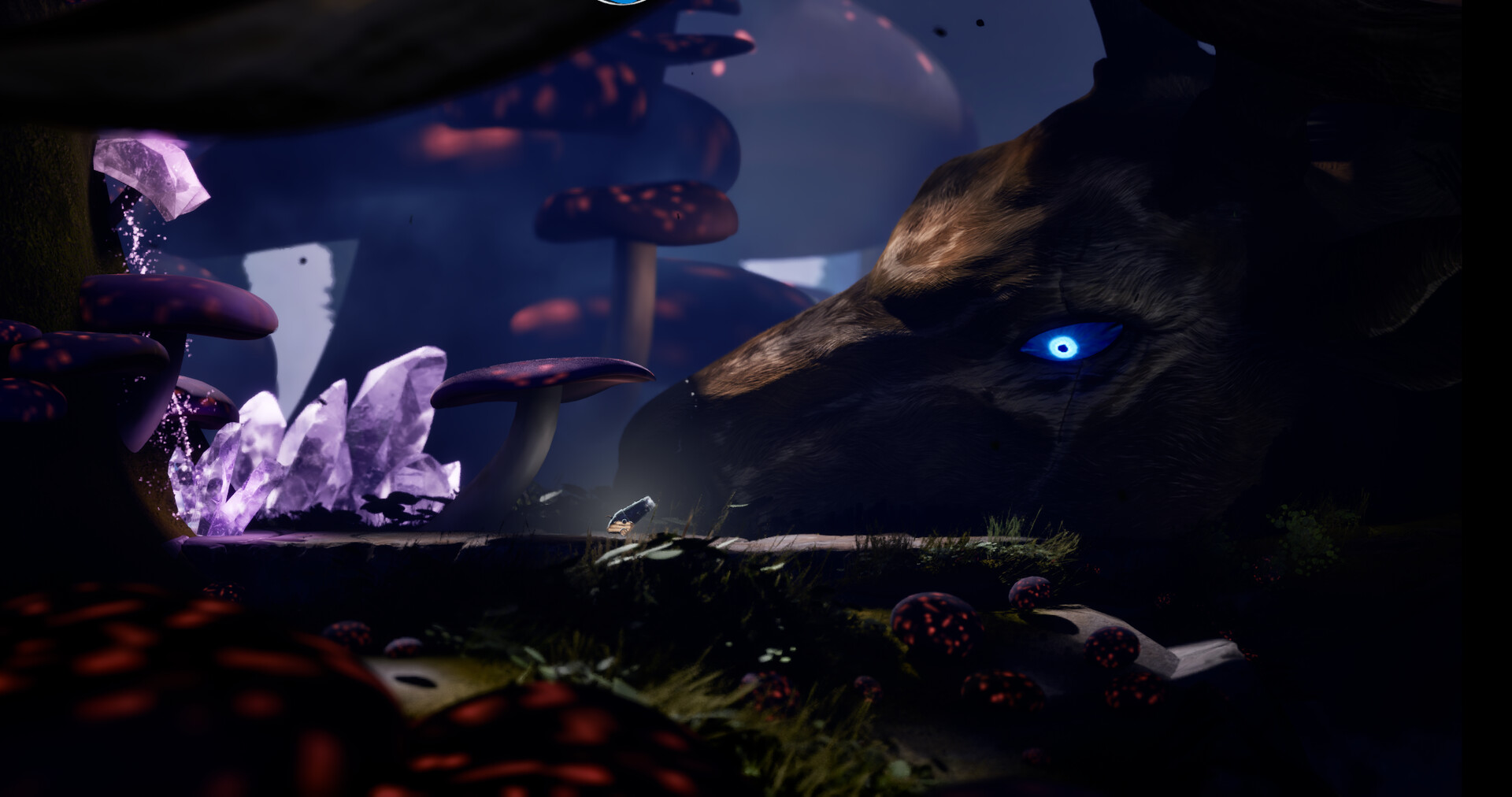 About Cannons & Sparrows screenshot 5