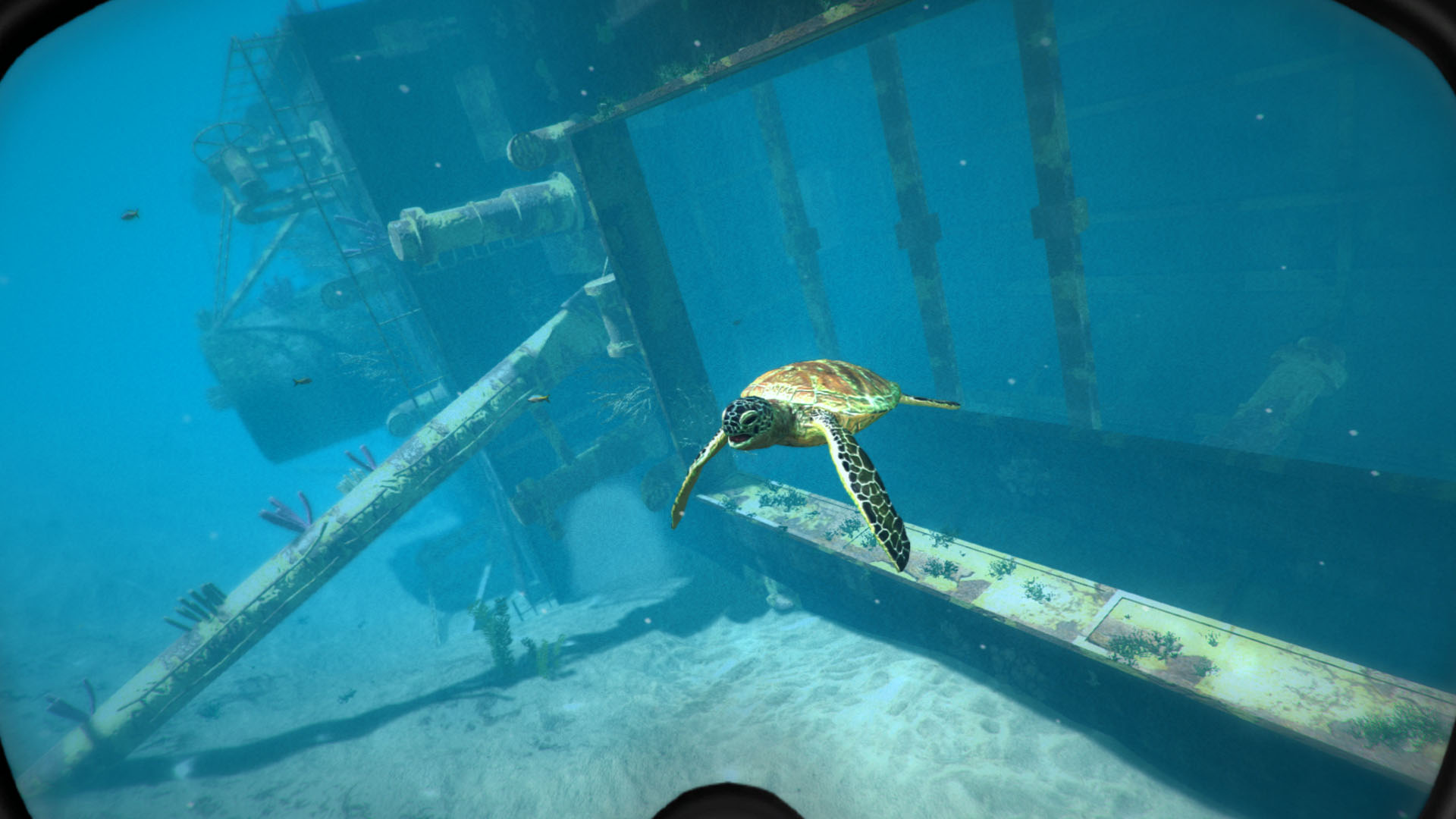 World of Diving screenshot 10